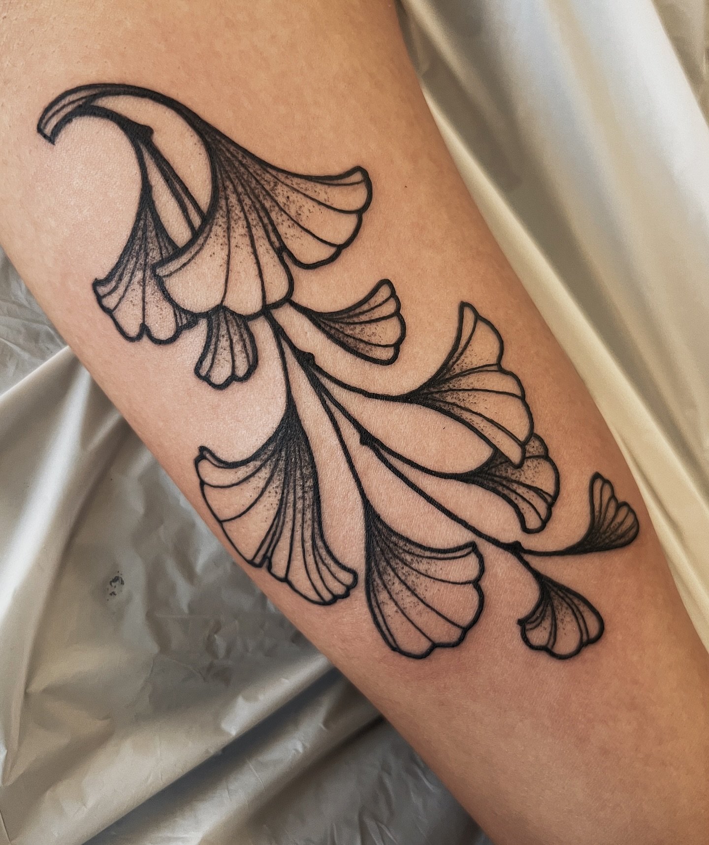 A first tattoo of some Ginkgo leaves for Kelly! Thanks for your trust!!! 
.
.
.
#ginkgoleaves #ginkgo #lineworktattoo #seattletattoo