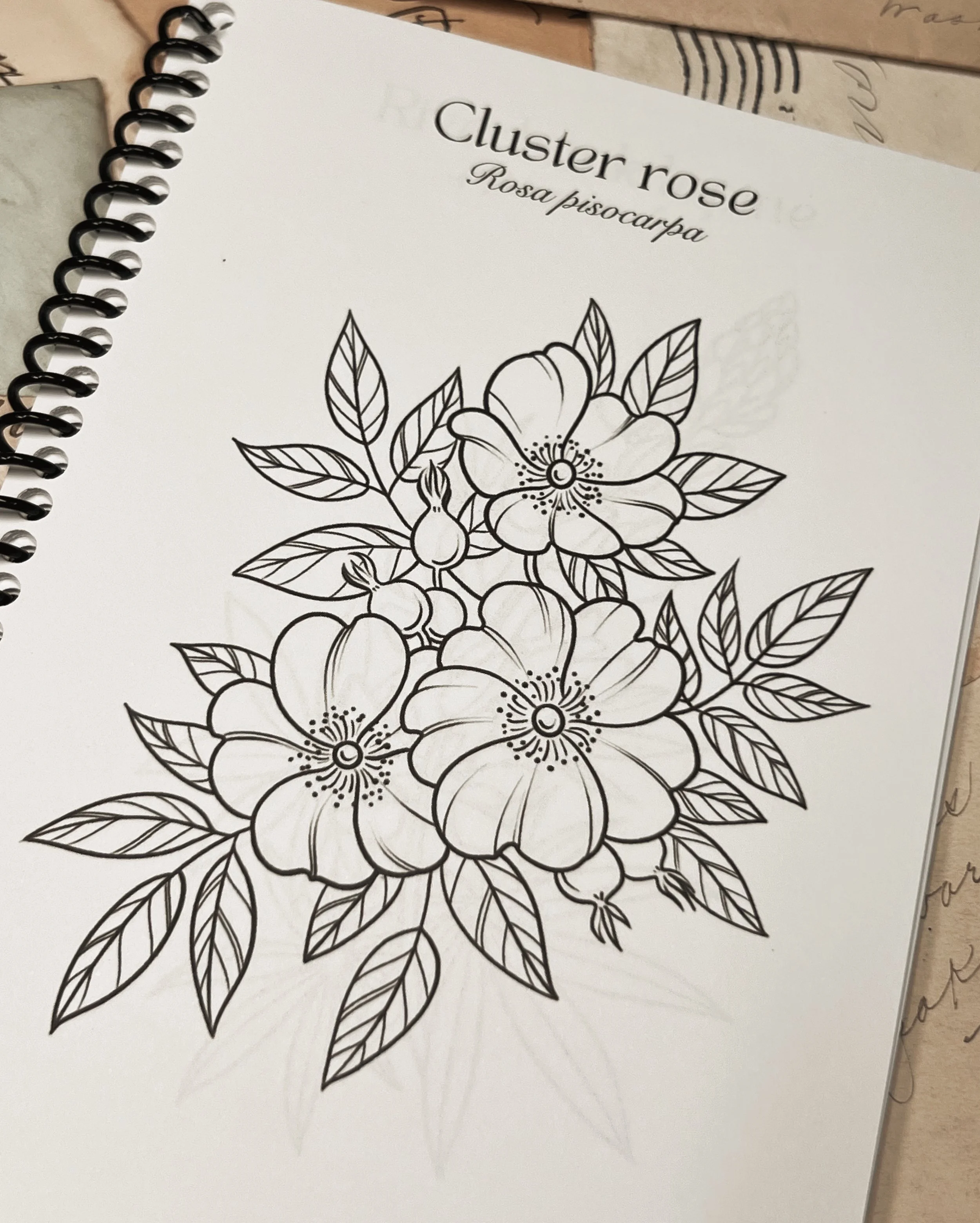 FullSizeRender_VSCO 10.JPG