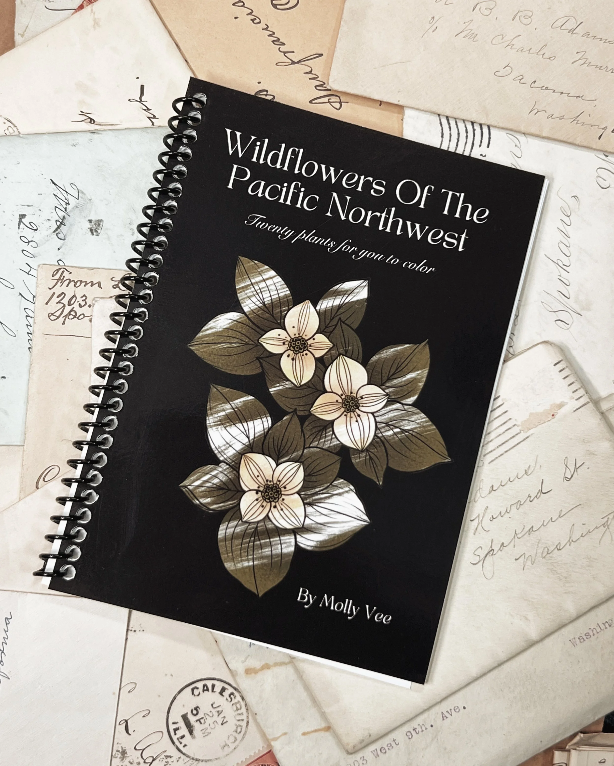 FullSizeRender_VSCO 11.JPG