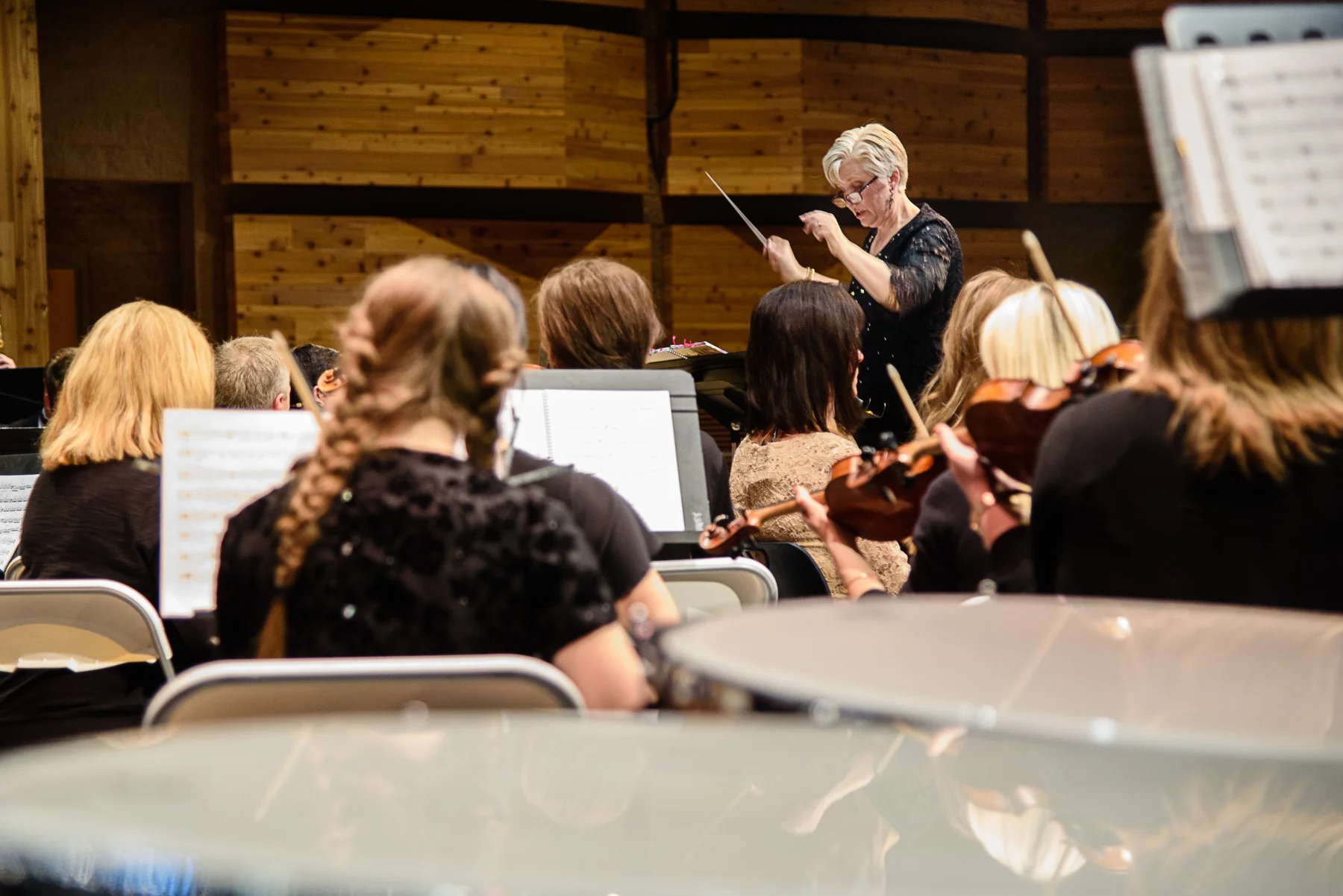 2017-04-12DCAP dress rehearsal-26.jpg