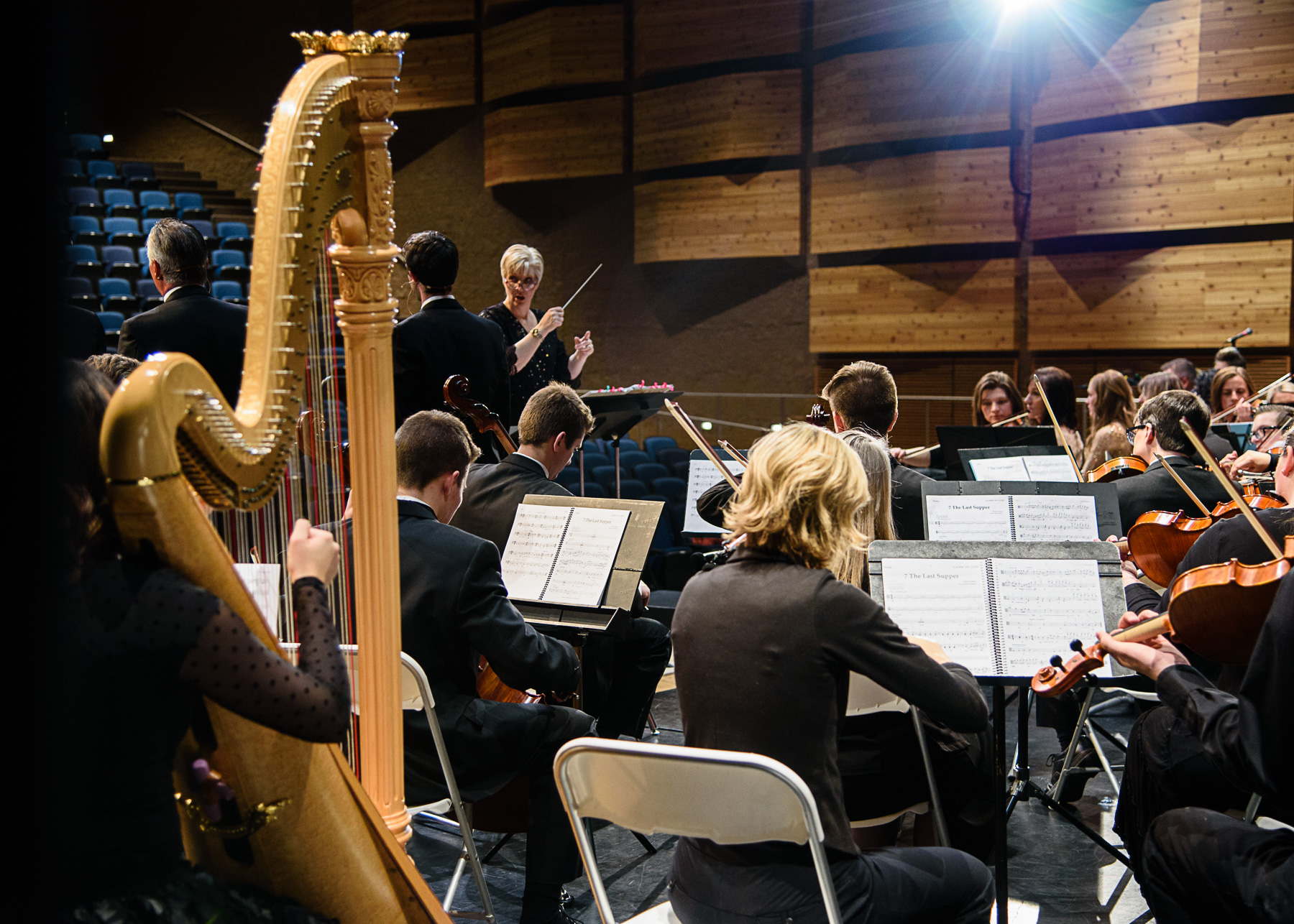 2017-04-12DCAP dress rehearsal-27.jpg