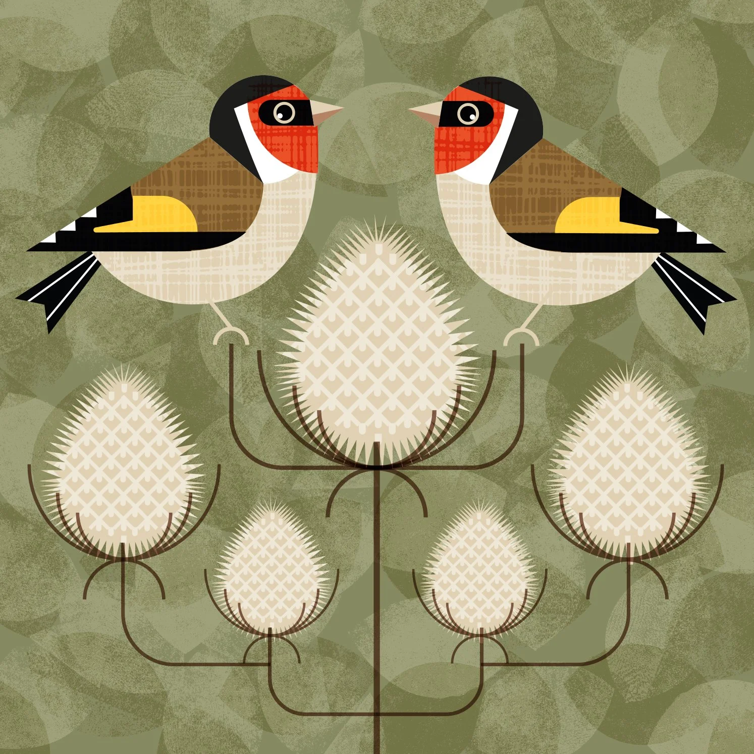 gold finch.jpg