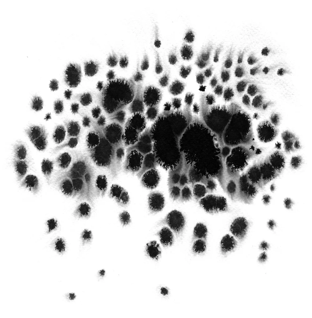 iiiinspired _ agnes szucs 3_2.jpg