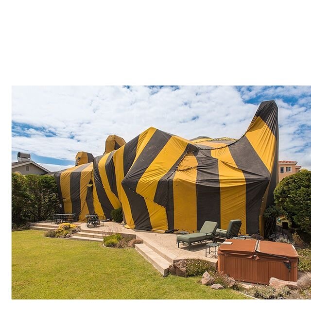 TODAY: &ldquo;Things I never thought existed: Fumigation Tents&ldquo;
I just recently found out they existed, and I think they are just hilarious. They could be artworks by Christo @christojeanneclaude . Well, they are not, but I think they prove the