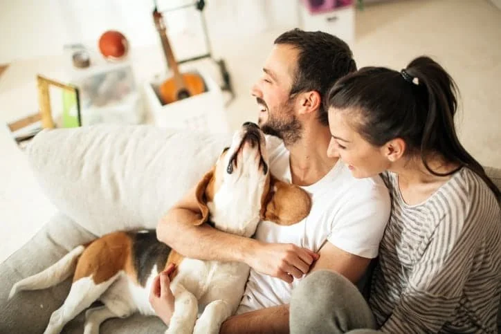 Estate Planning for Unmarried Couples