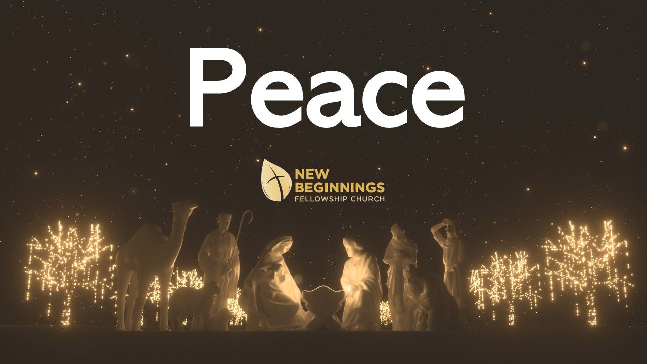 Peace - 2021 Christmas Advent Series (3) episode artwork