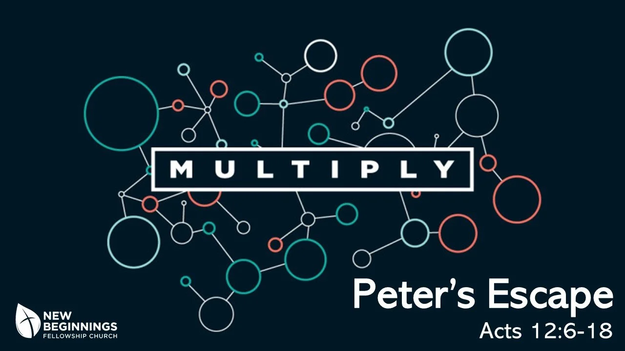 Peter's Escape - Multiply Series (11) - Acts 12:6-18 episode artwork