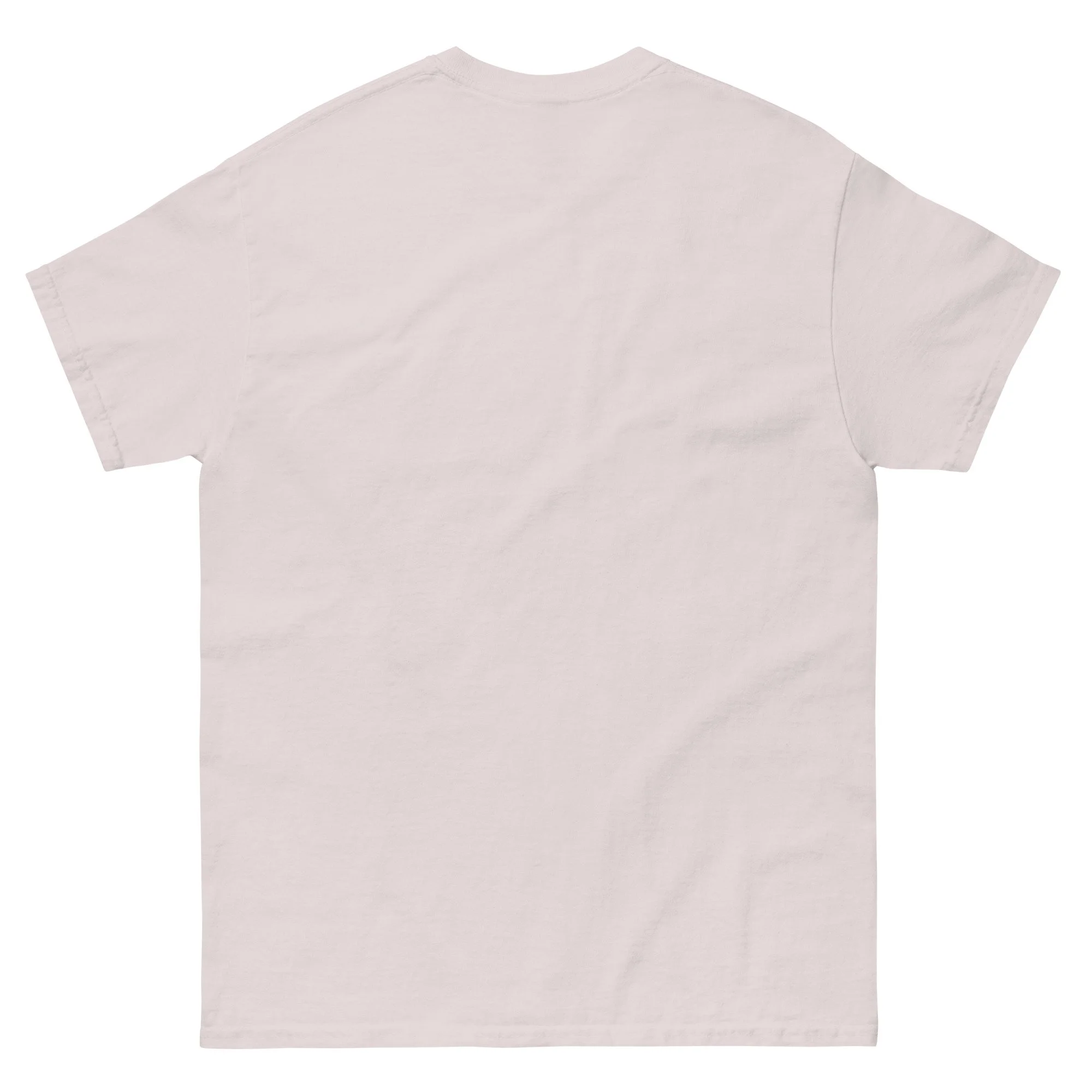 unisex-classic-tee-ice-grey-back-6a28237f90702.jpg