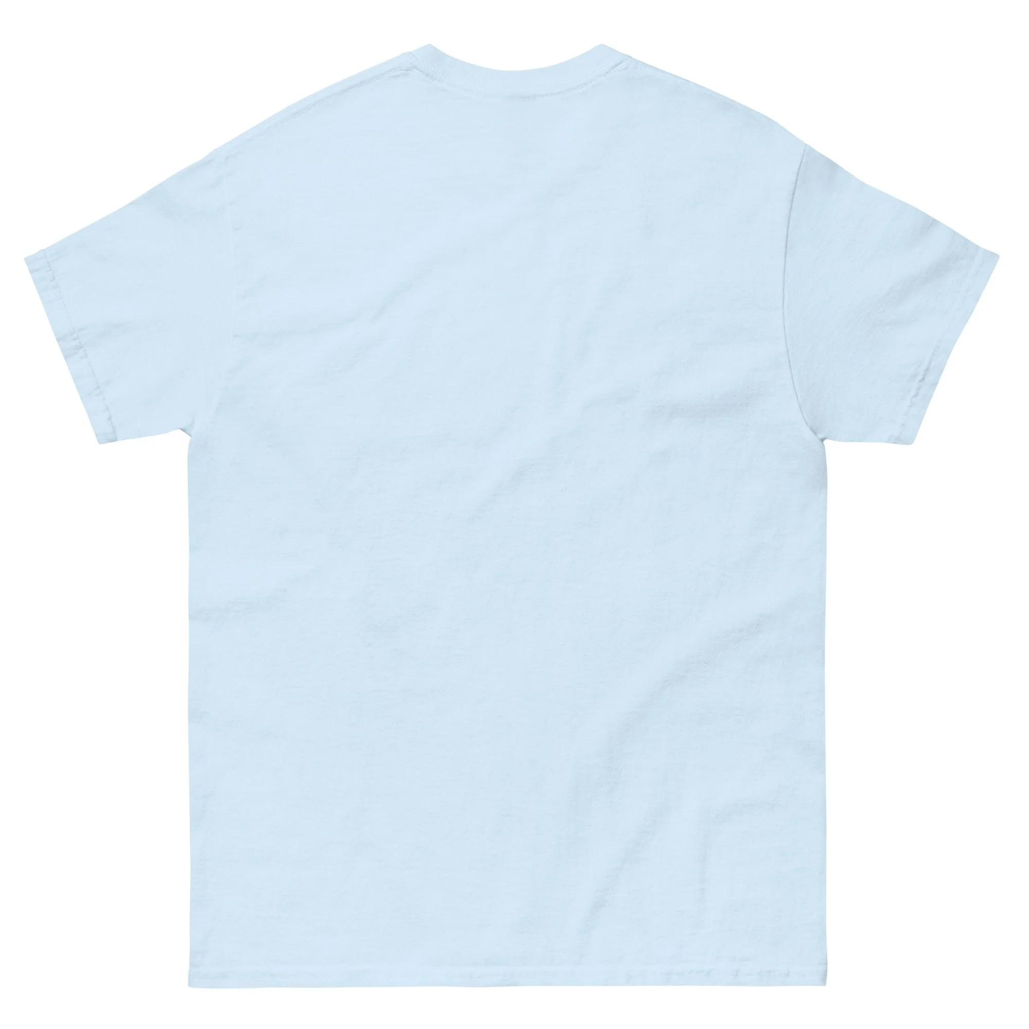 unisex-classic-tee-light-blue-back-6a28237f9b2b0.jpg