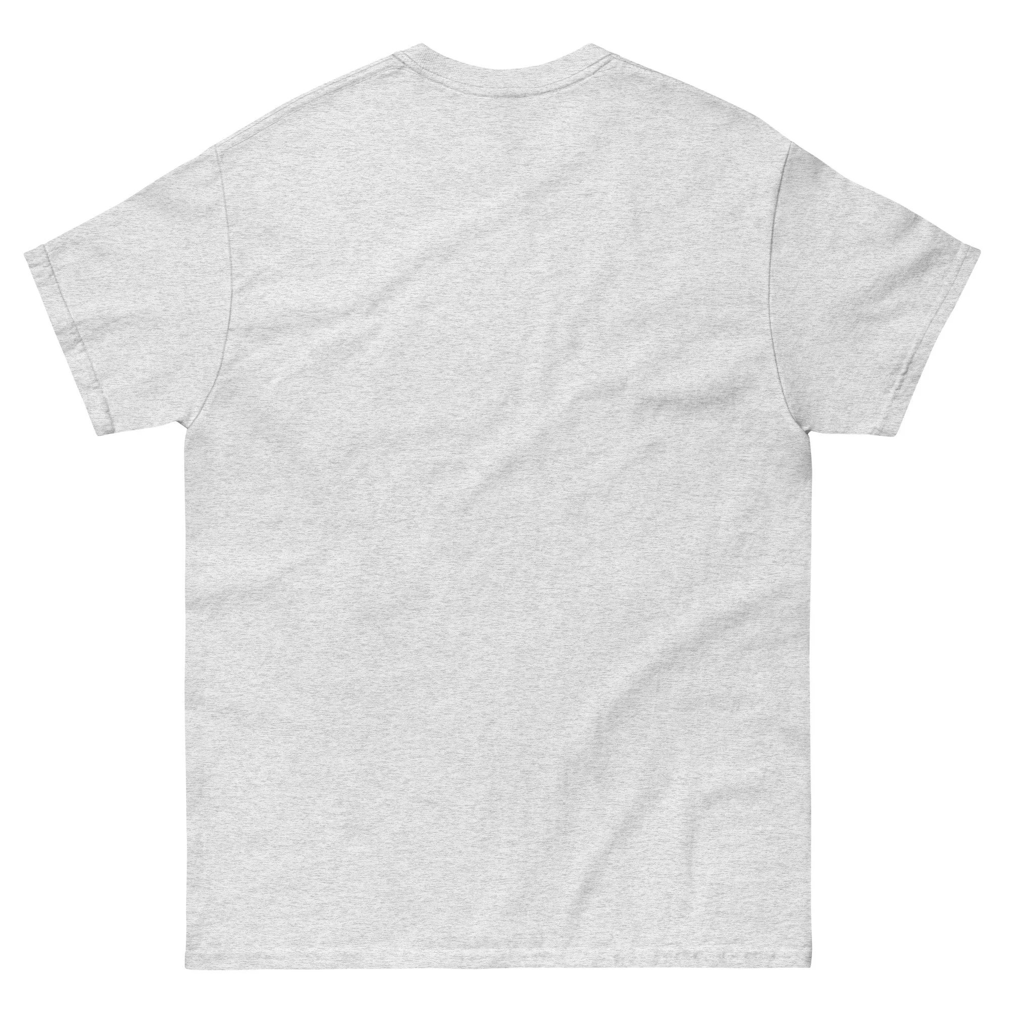 unisex-classic-tee-ash-back-6a28237fa813b.jpg