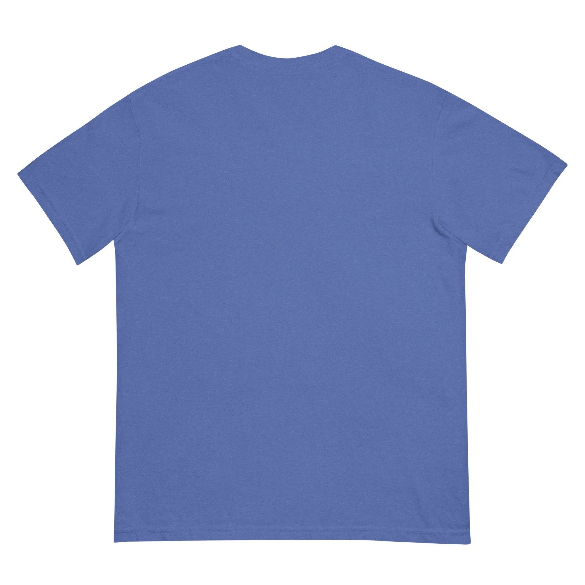 unisex-garment-dyed-heavyweight-t-shirt-mystic-blue-back-6a6111d788d80.jpg