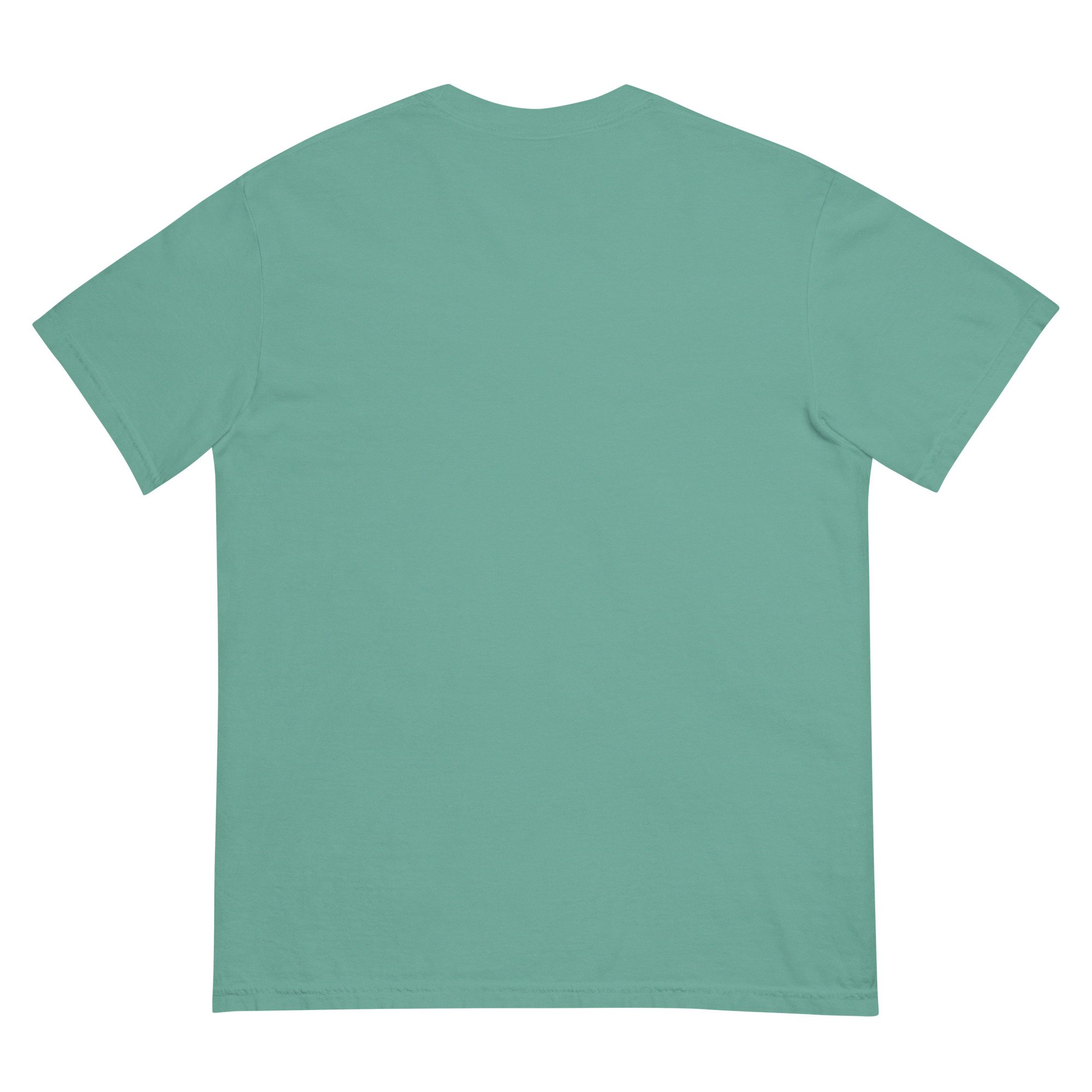 unisex-garment-dyed-heavyweight-t-shirt-seafoam-back-6a6111d793420.jpg