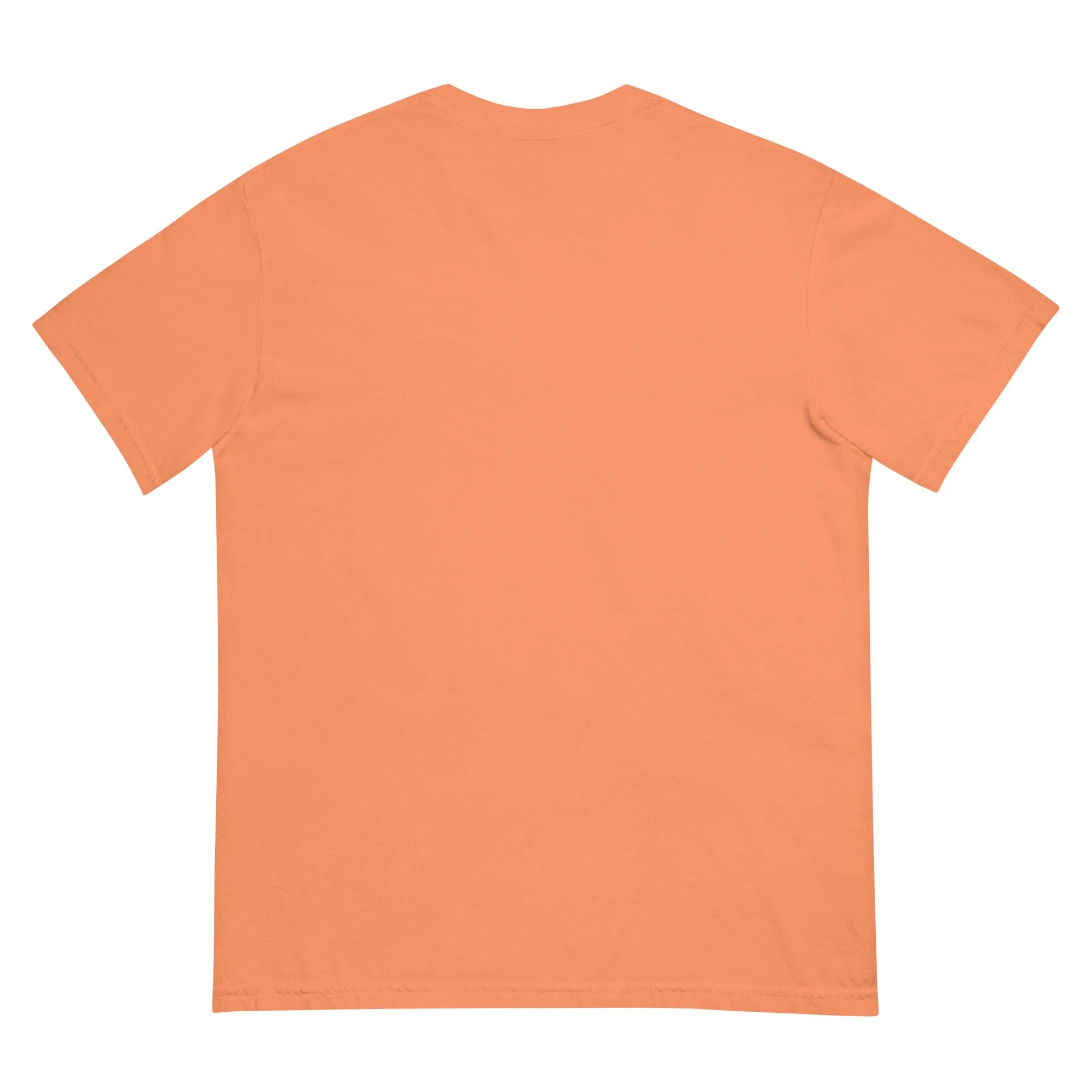 unisex-garment-dyed-heavyweight-t-shirt-terracotta-back-6a6111d7964e4.jpg