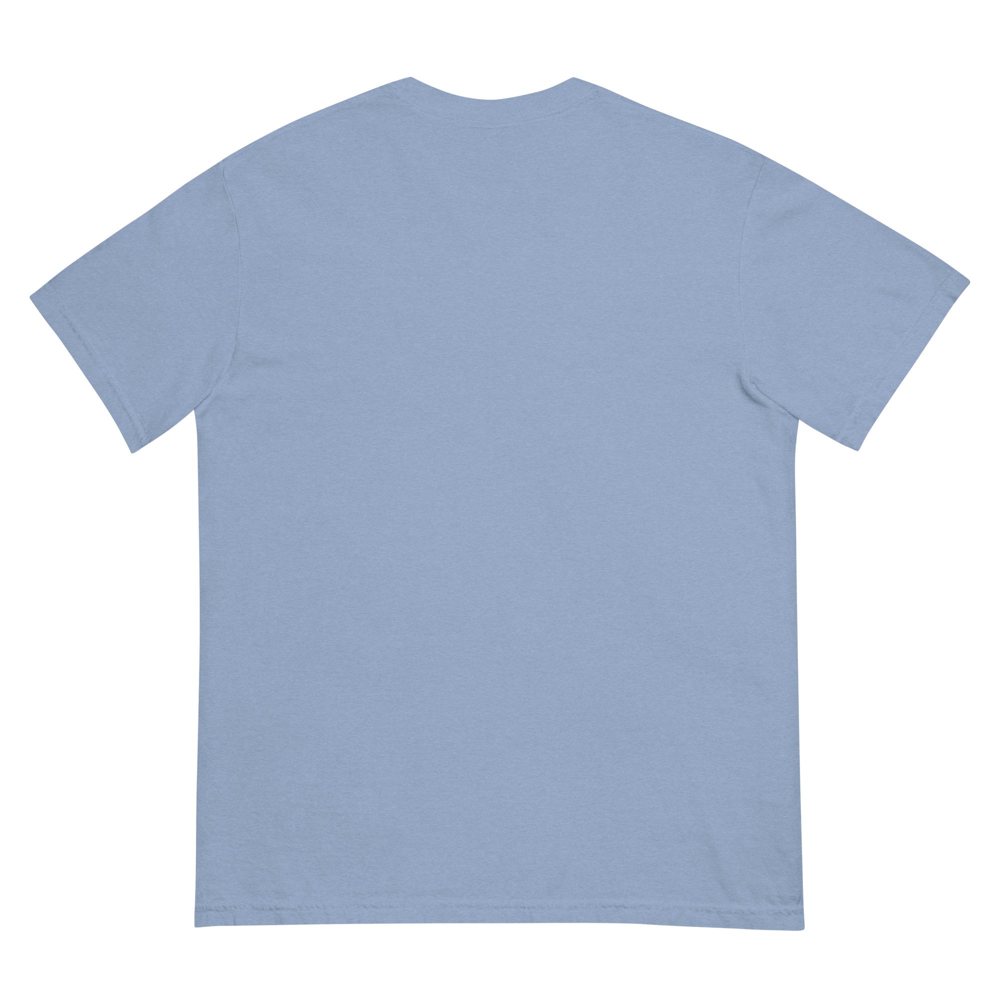 unisex-garment-dyed-heavyweight-t-shirt-washed-denim-back-6a6111d799b44.jpg