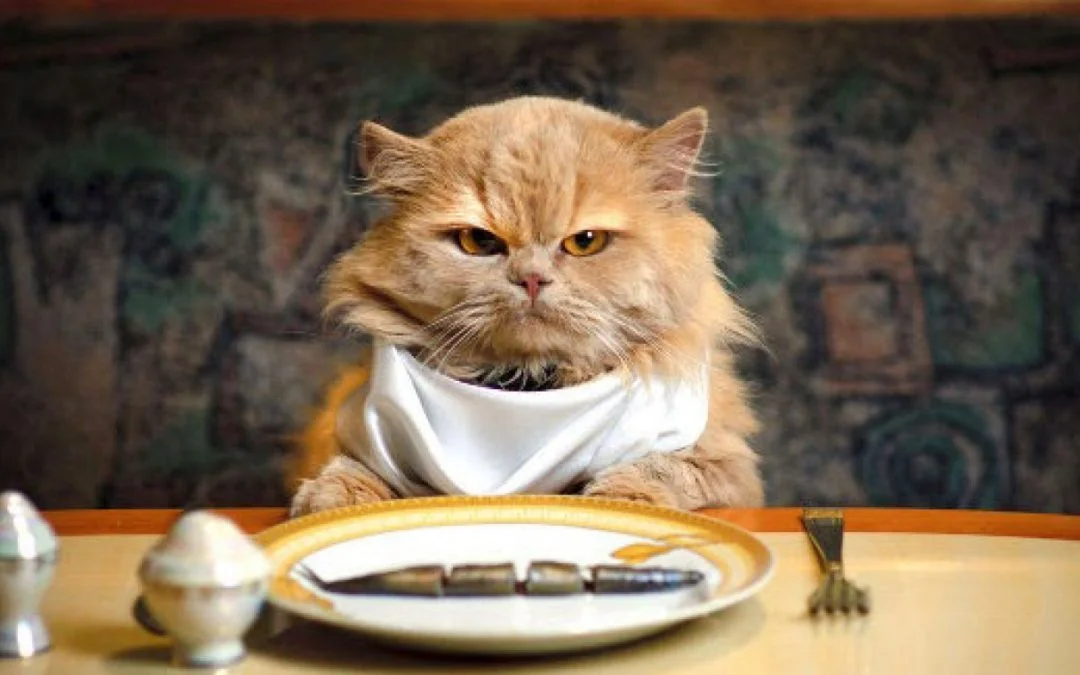It doesn't serve to be finicky.