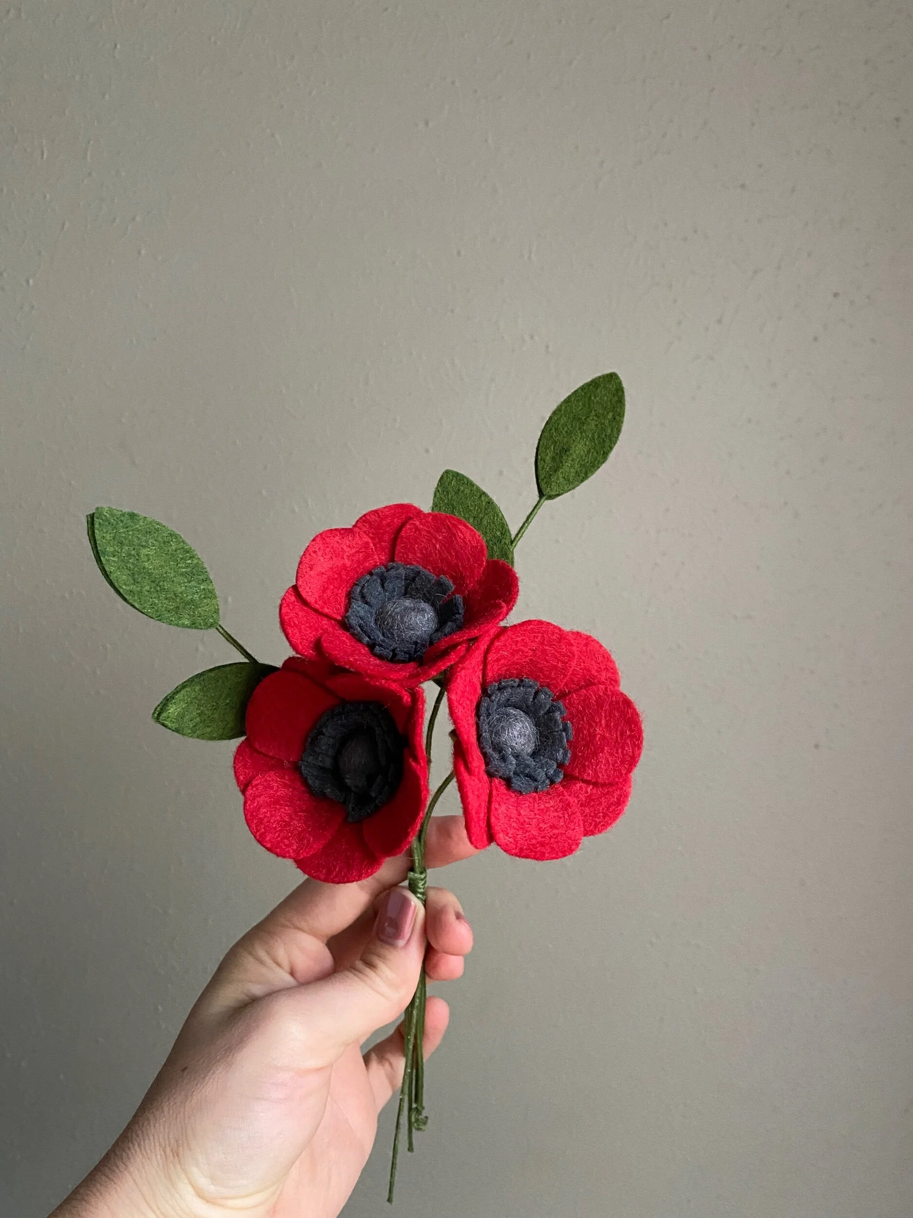 4245AA9F-DA6C-4395-A826-B2A9416370A3