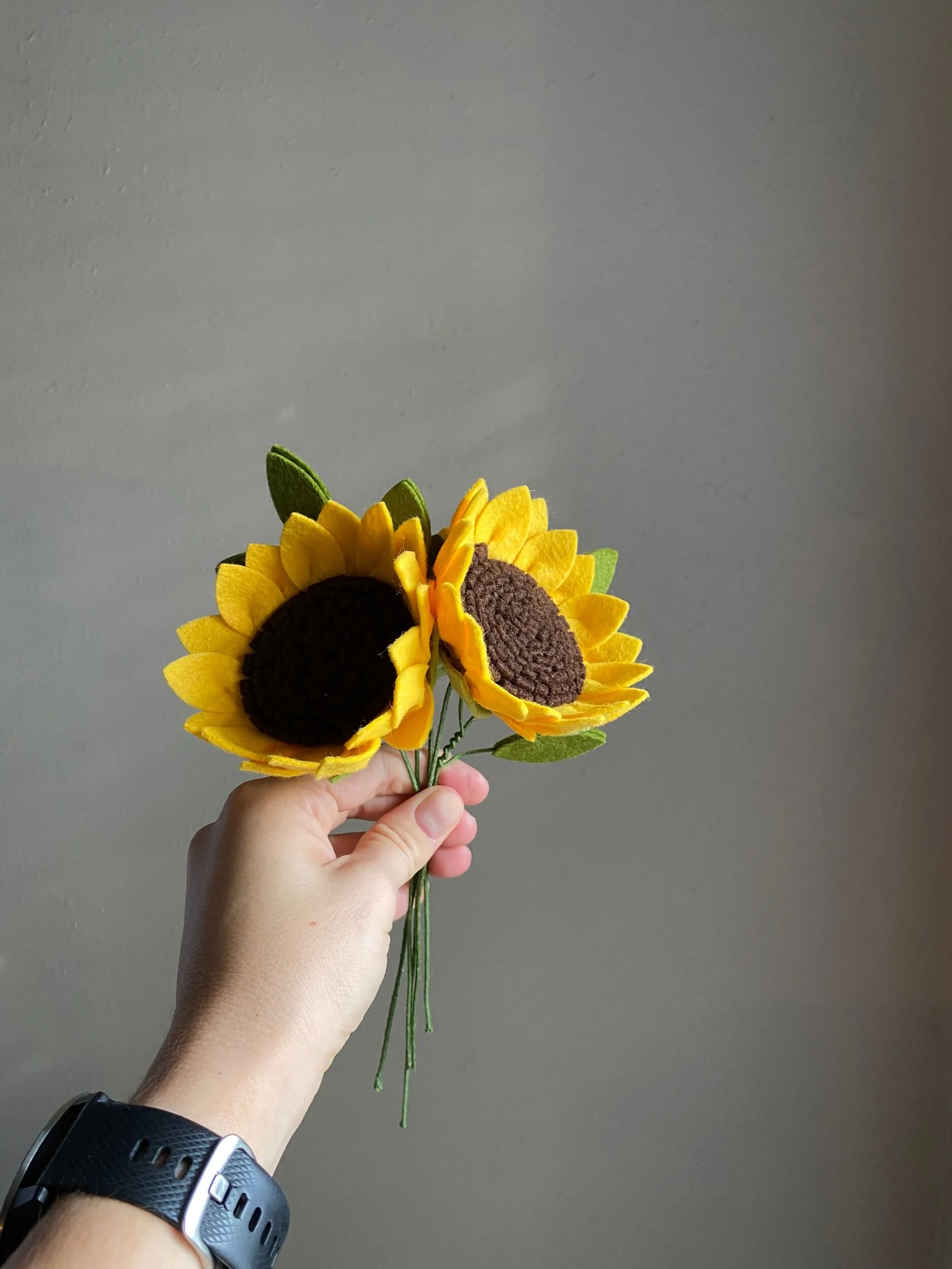 2FA65FFA-80C3-470B-82CE-E8E6242A53AC