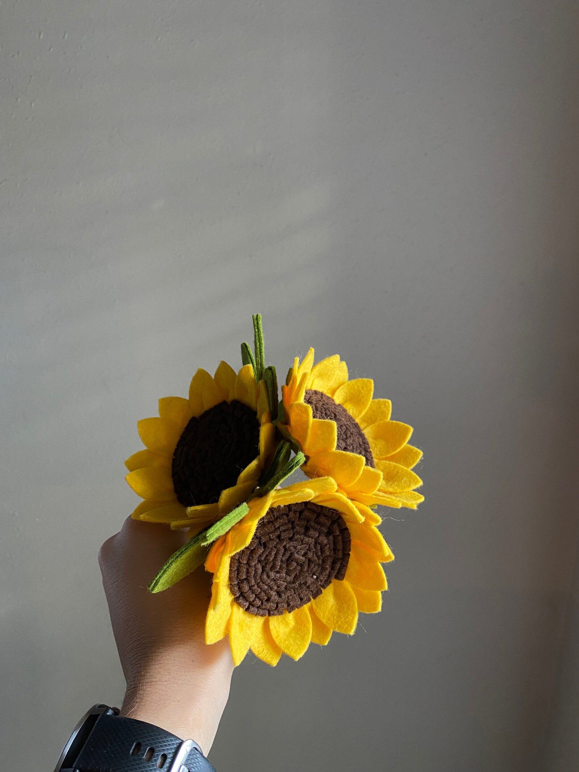 13ACFFA1-1DD2-4482-86AB-9E4F7FBFC015