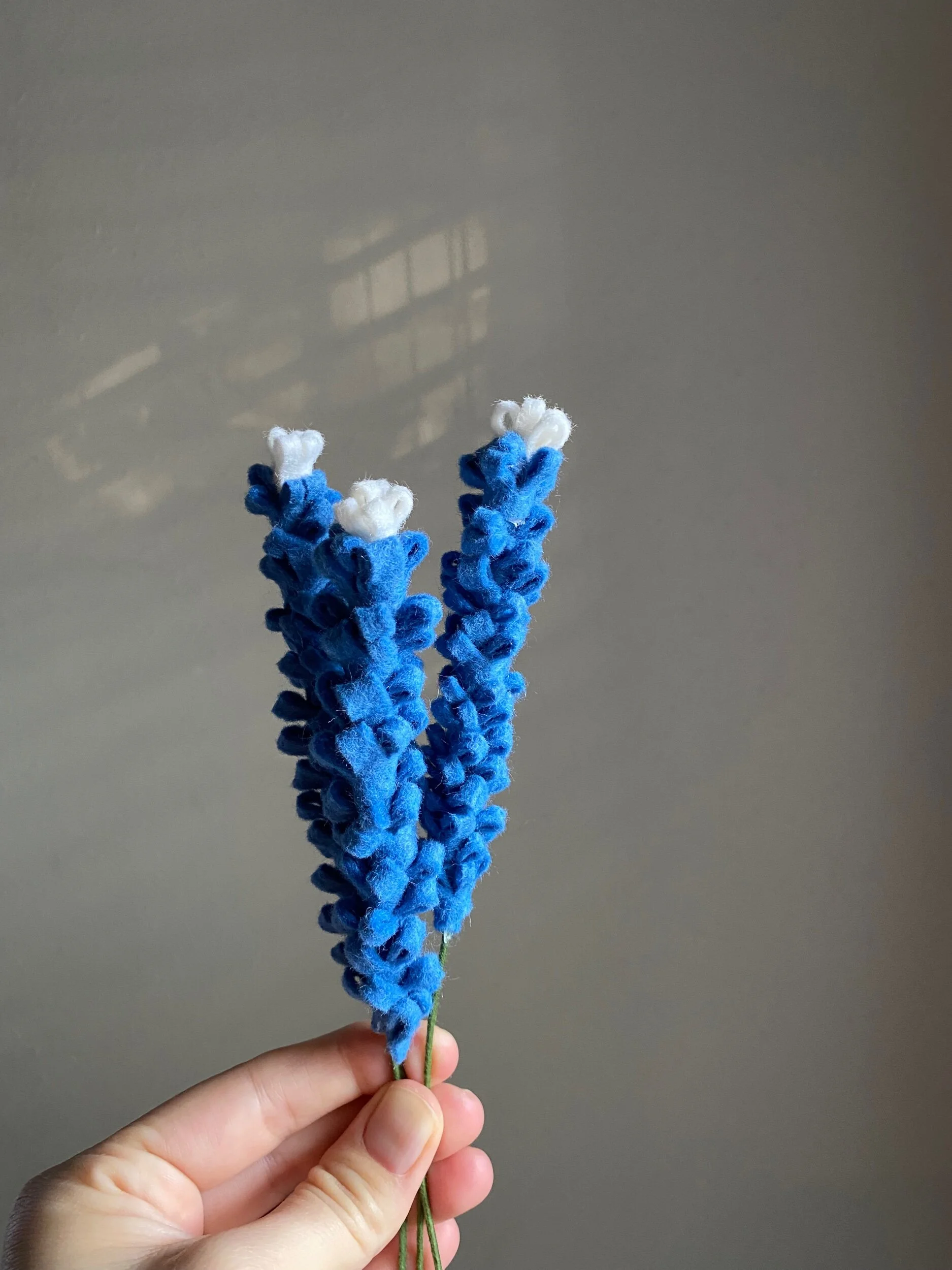 D56671C5-BDFB-46DD-8790-9A9368F7DE15