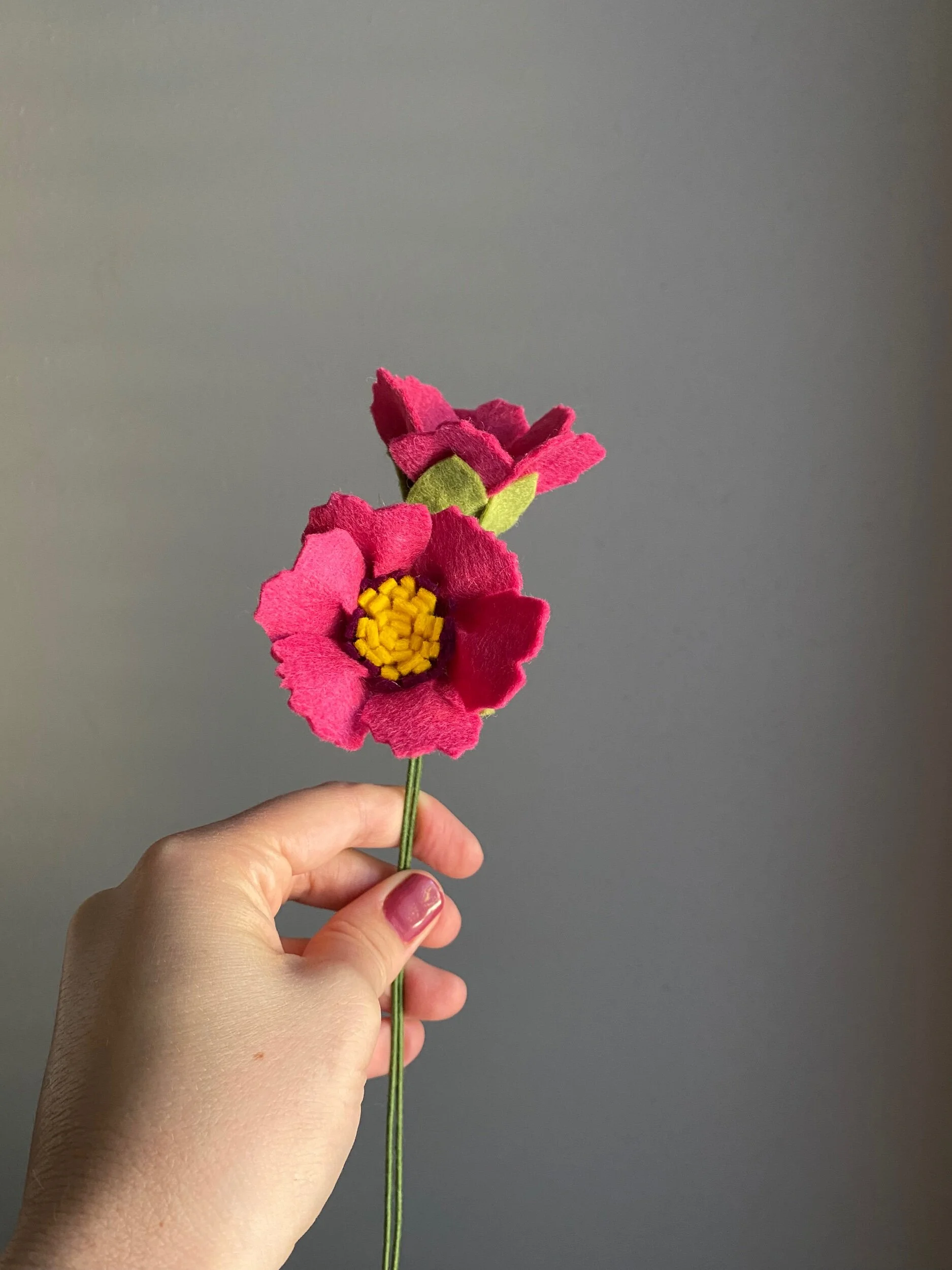 5F0101CB-37D2-47F5-A4E2-BEDA562B822C