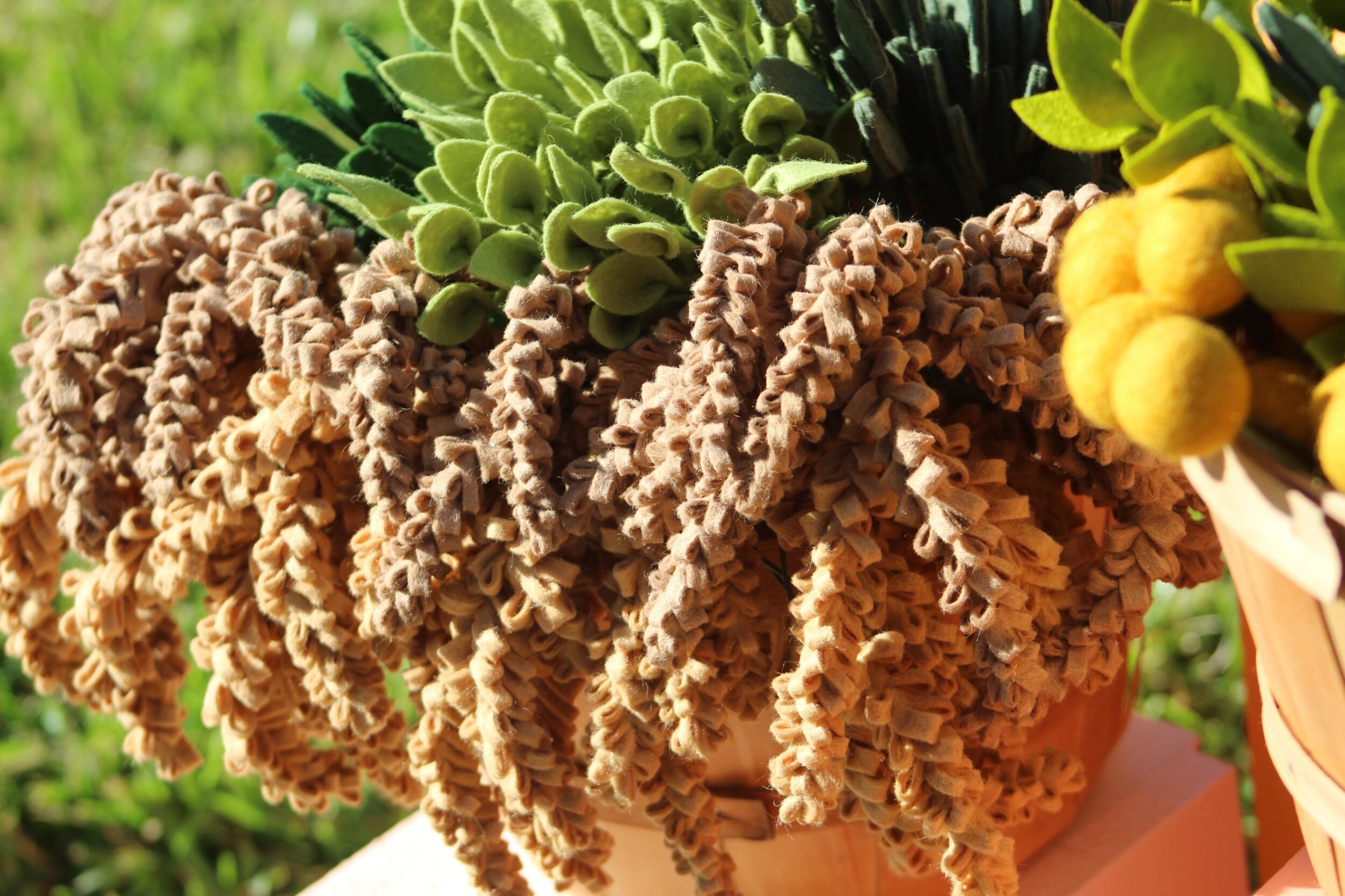 5E1738B1-48AC-4D21-908F-C09E52C6077A