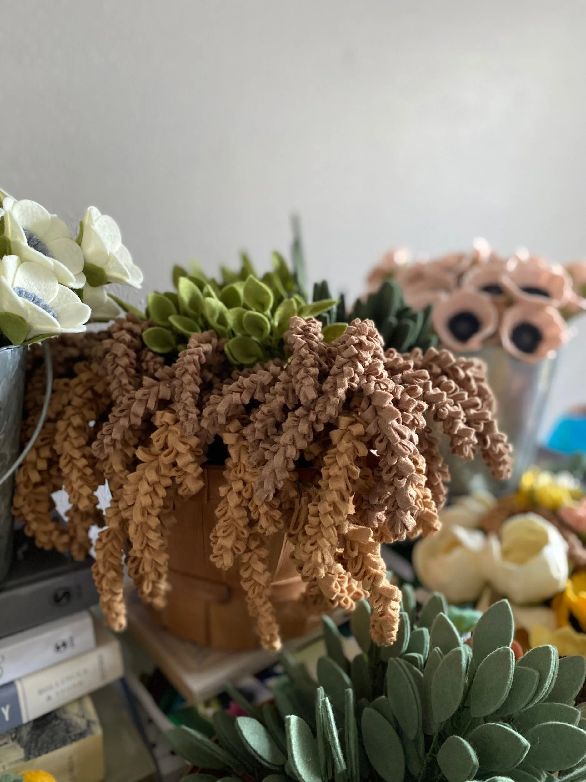 C04811E7-5BFA-4FB5-84A9-9644A3FFFF9B