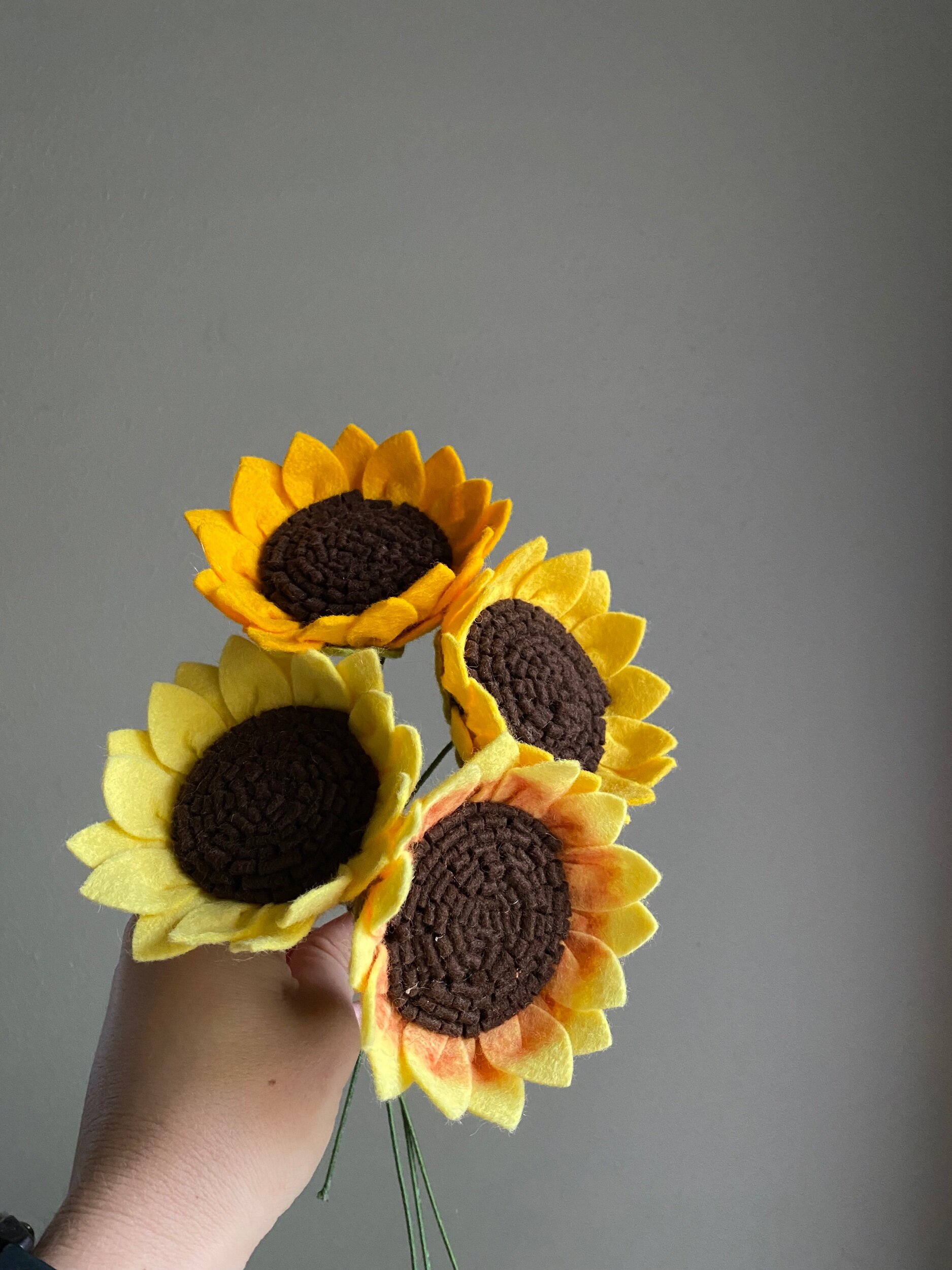 B3E0F1DE-C3F1-4D26-88D2-6989A2F0A89A