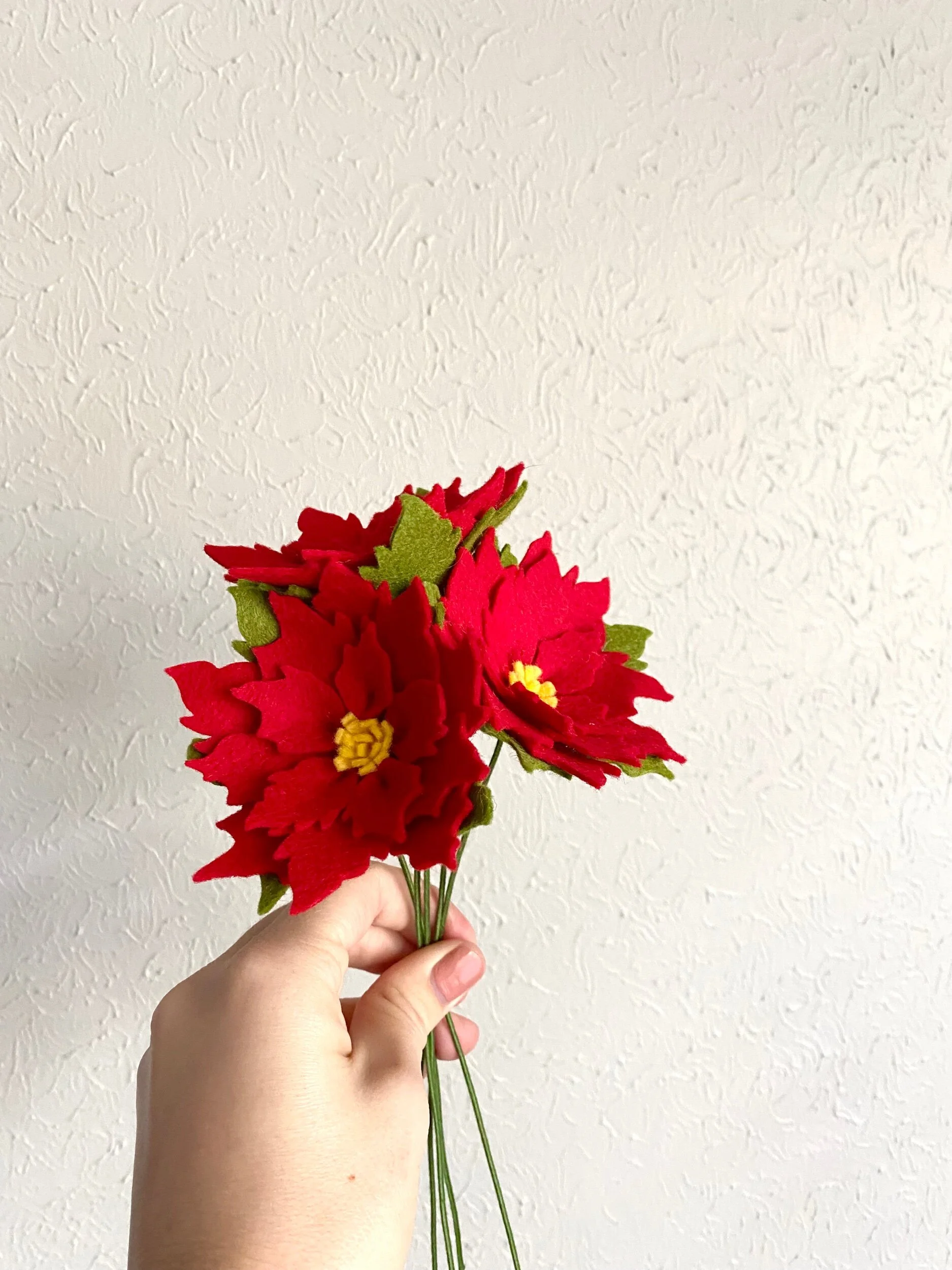 C9A70D84-5F7E-4779-874F-C47BBC5988E8