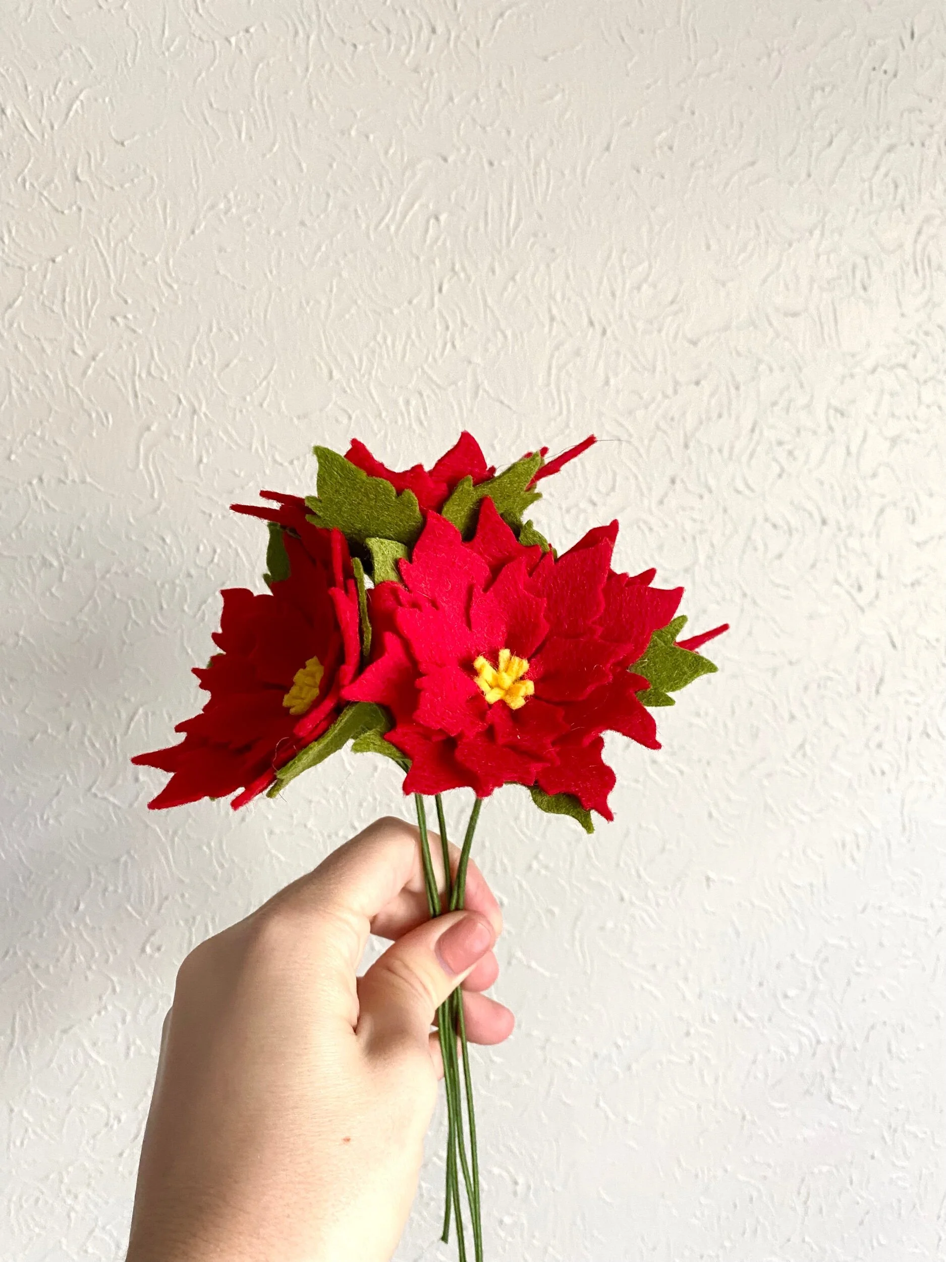 1EFA76AB-E8DF-48C5-A26A-71CED96A3674