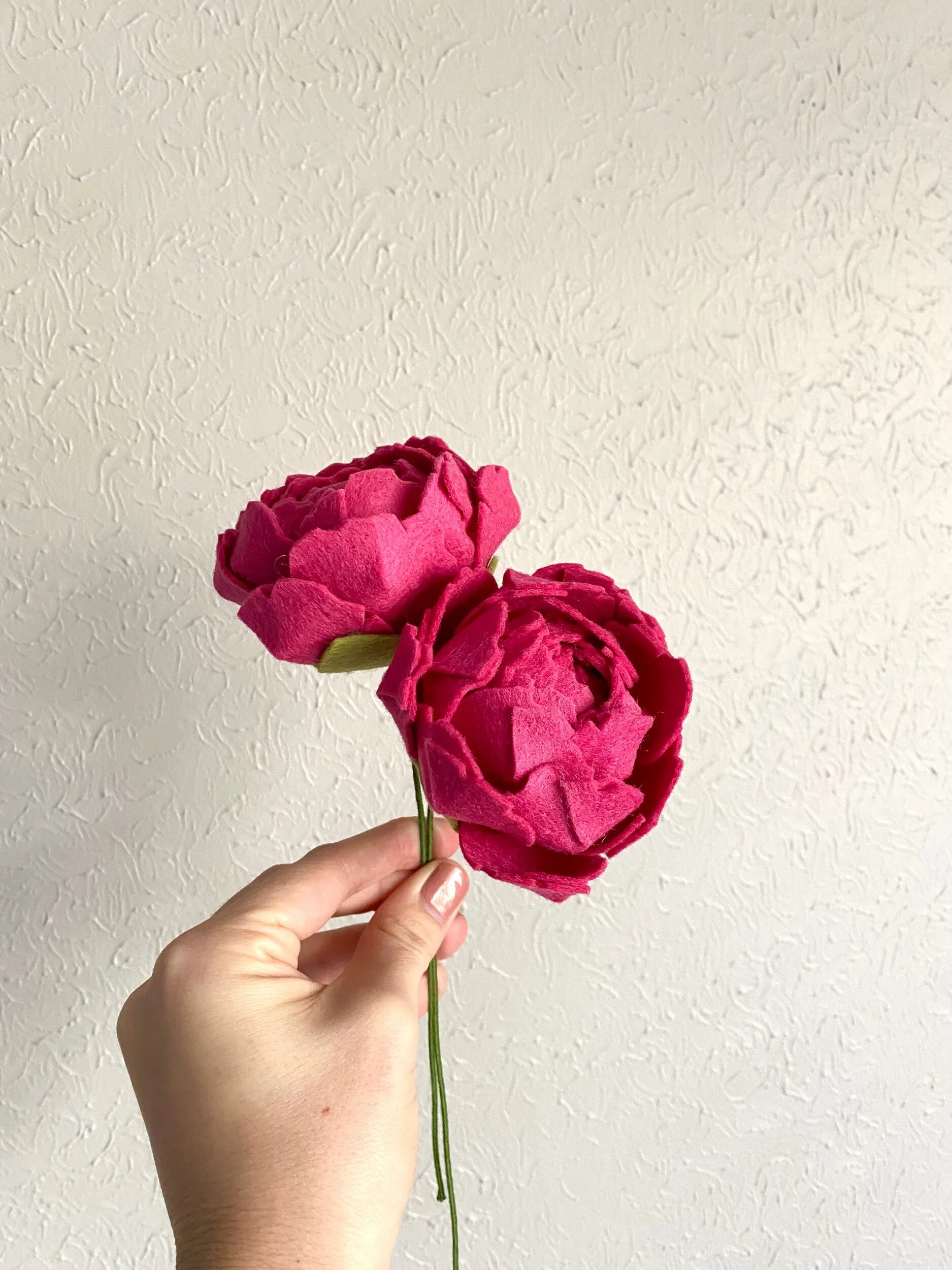 39EFB83A-68A0-479B-8A12-7FE6721B4C66