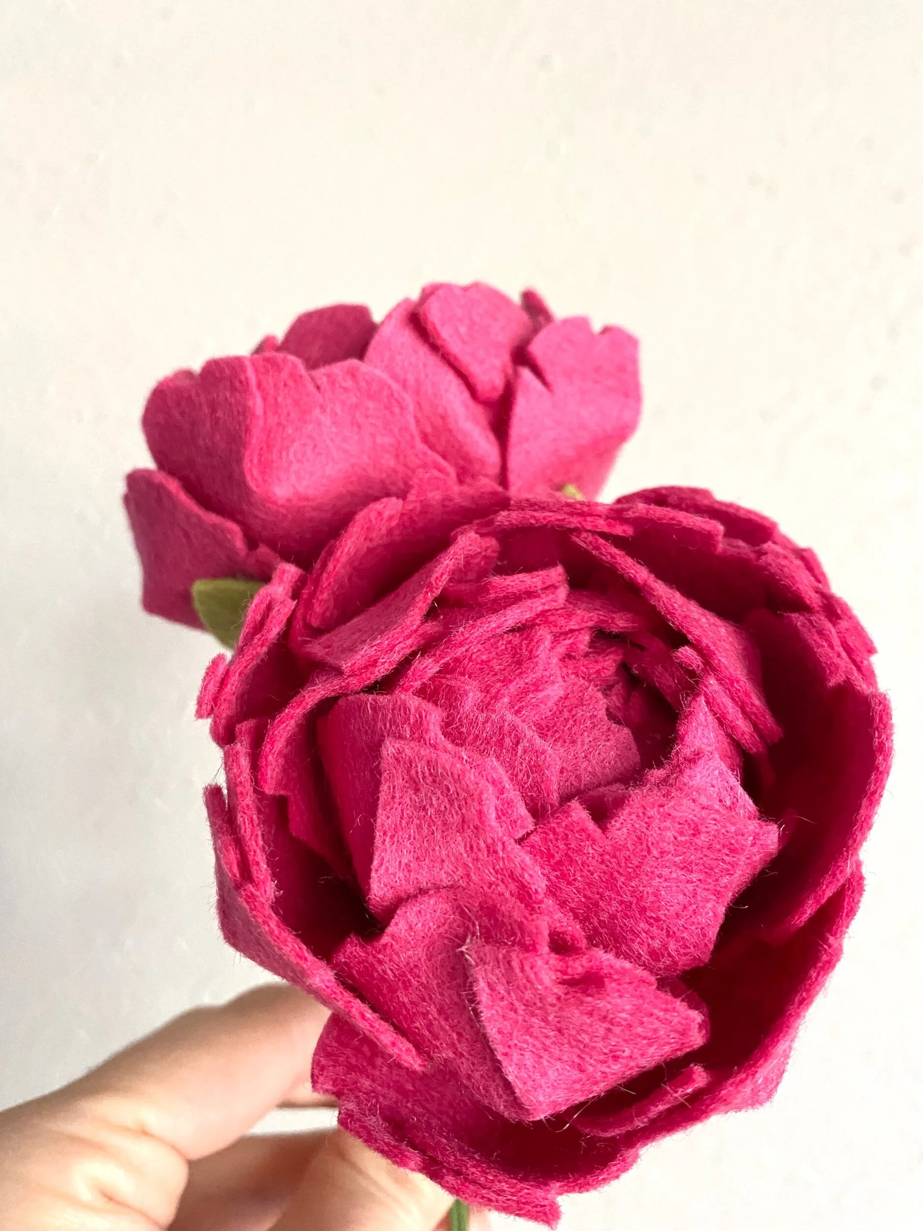 B35ED7EE-017D-47D3-A9FE-AE1841D07366