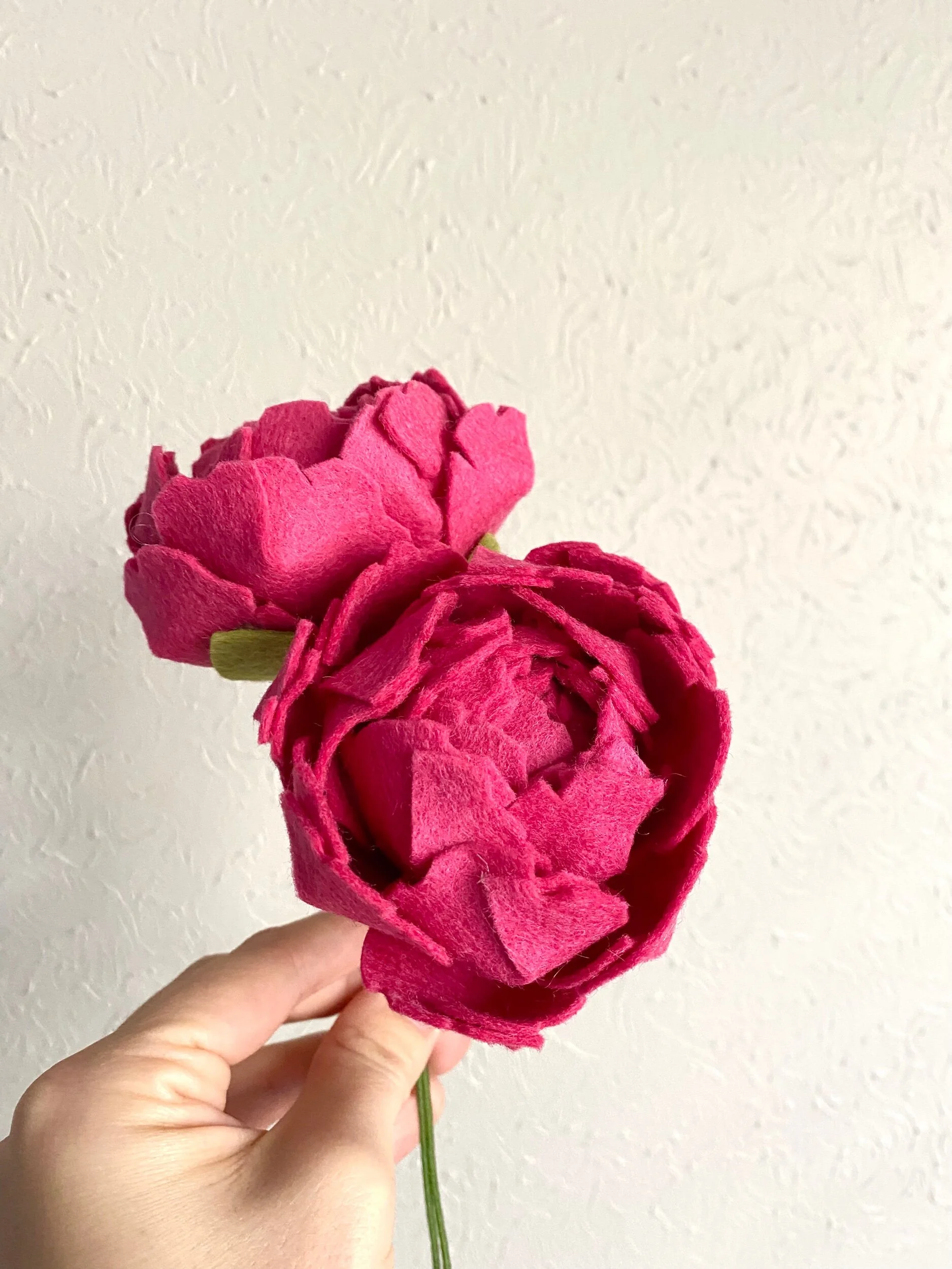 035308B8-5373-4BCD-80DD-D9FAD0F2763D