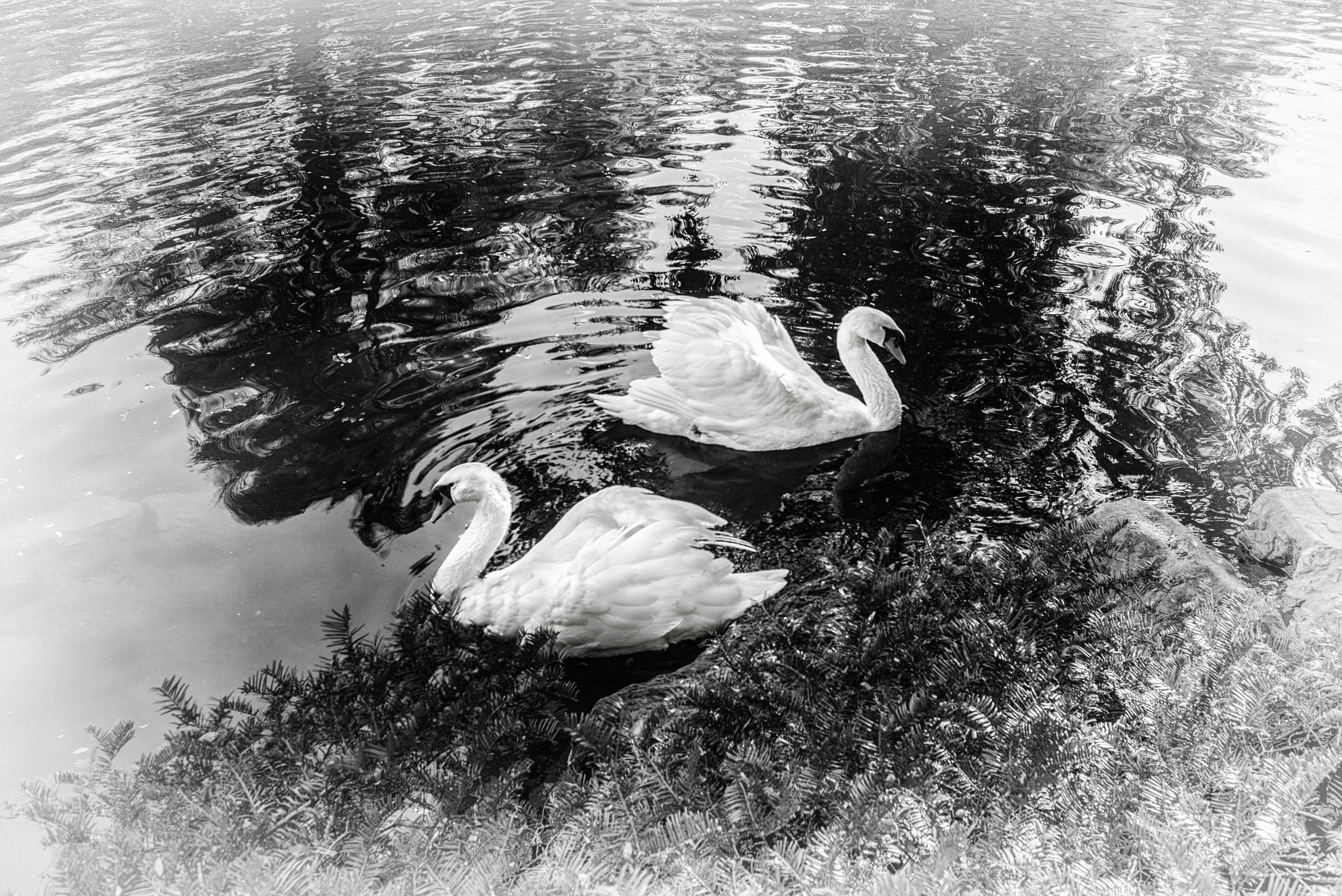 L1009039-Edit.jpg