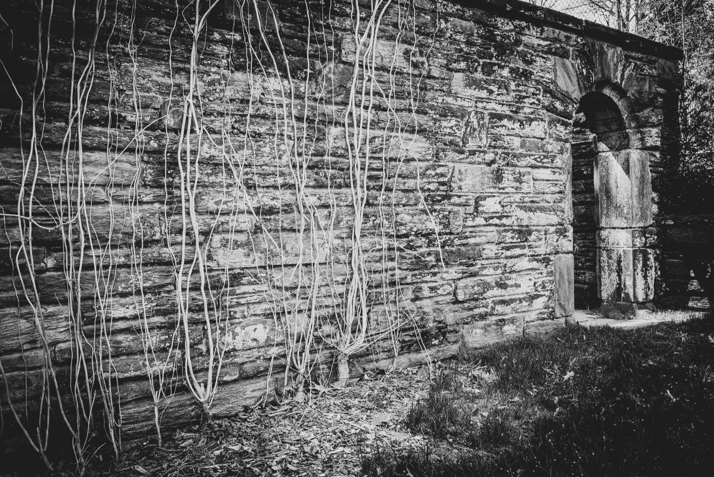 l1007554-2.jpeg