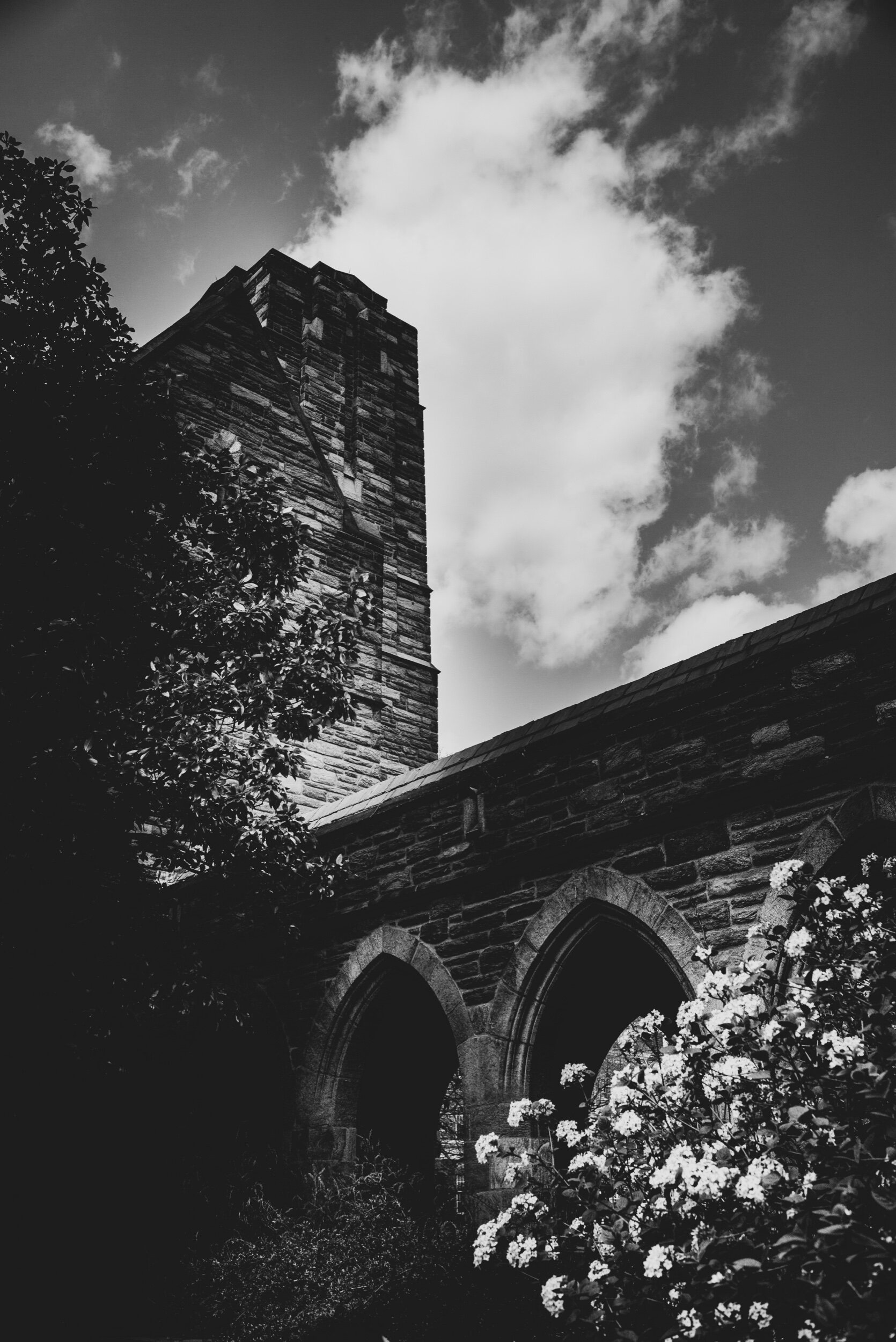 l1007711-2.jpeg