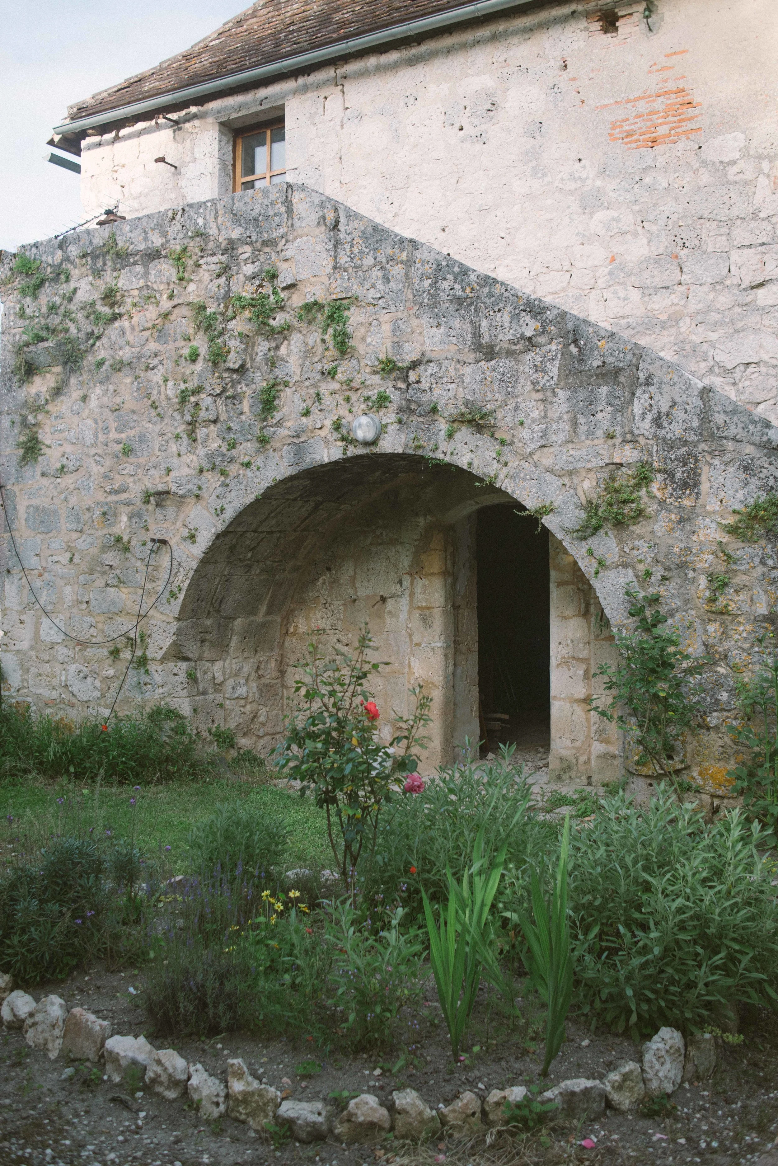 DSC08795.jpg