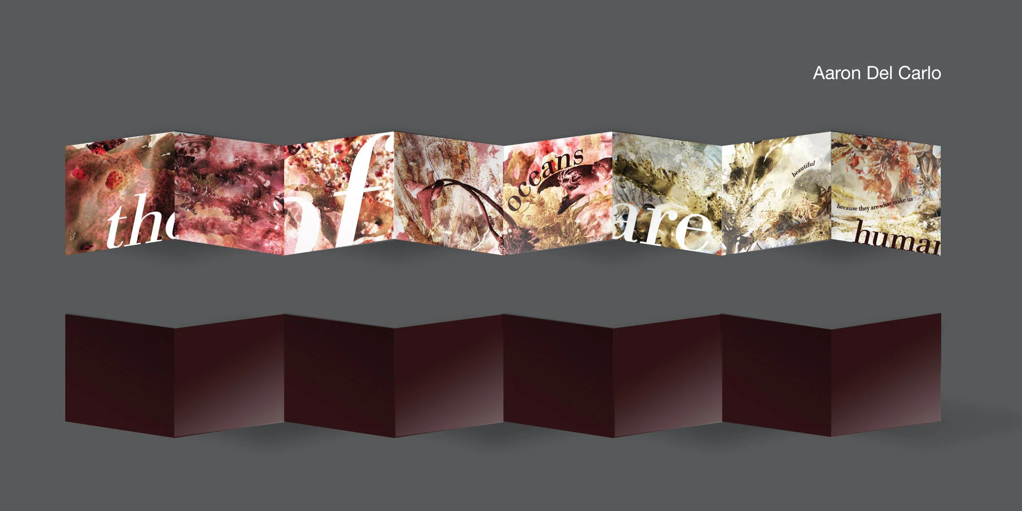 DelCarlo_P1_Mockup.jpg