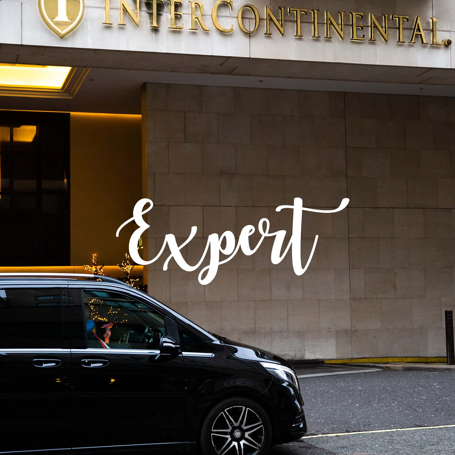 Expert.jpg