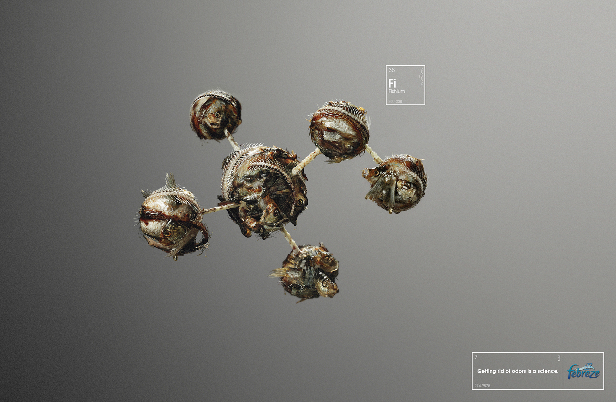 Febreze-2 Fish RGB.jpg