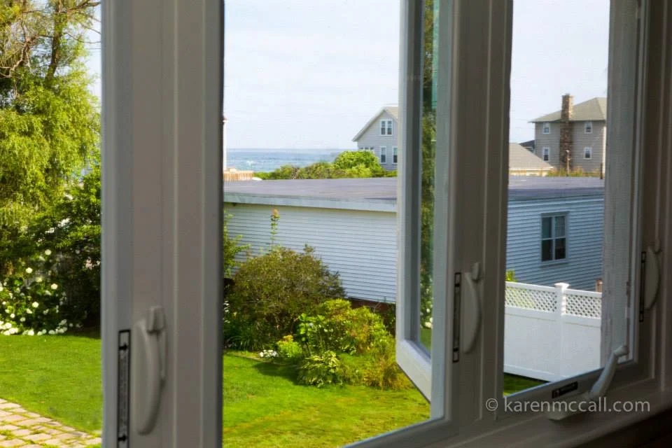 View from the kitchen