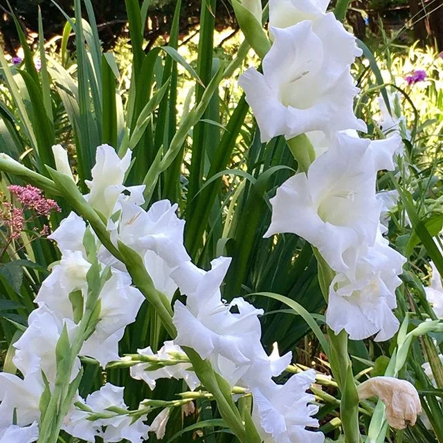 To all mothers: thank you.