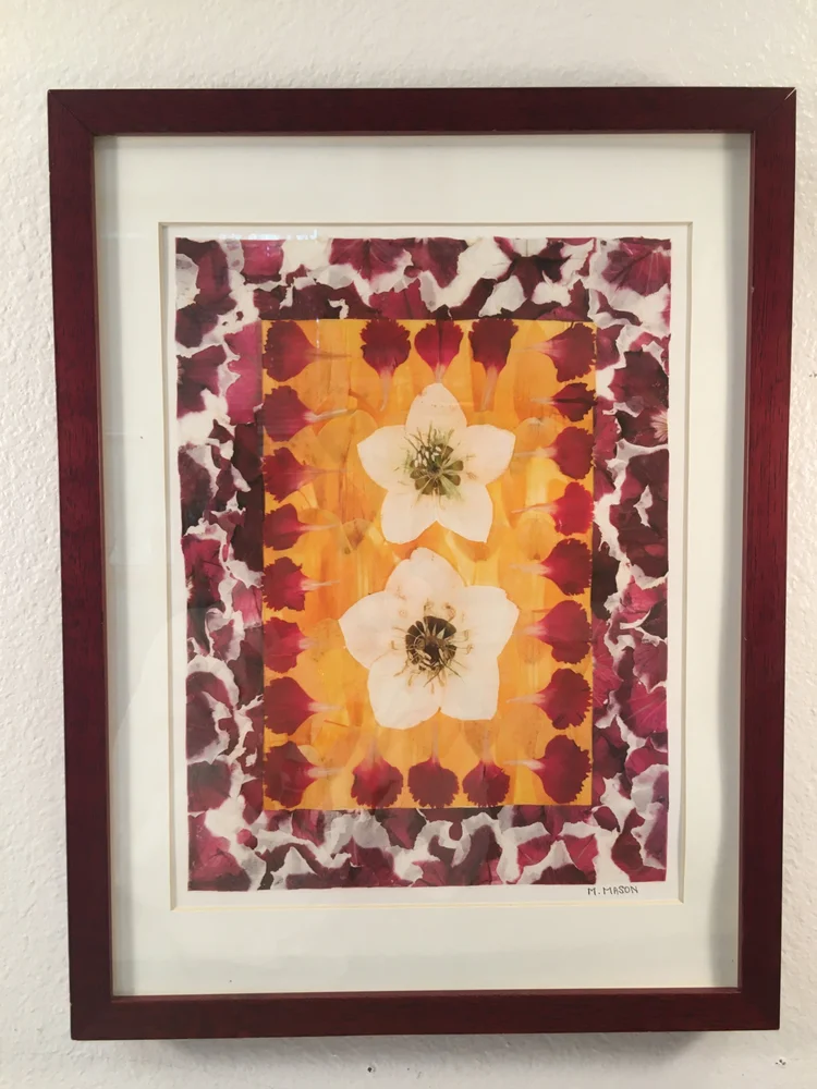 オリジナルThe Wallflowers - Blushing 〜 12インチ オリジナルThe