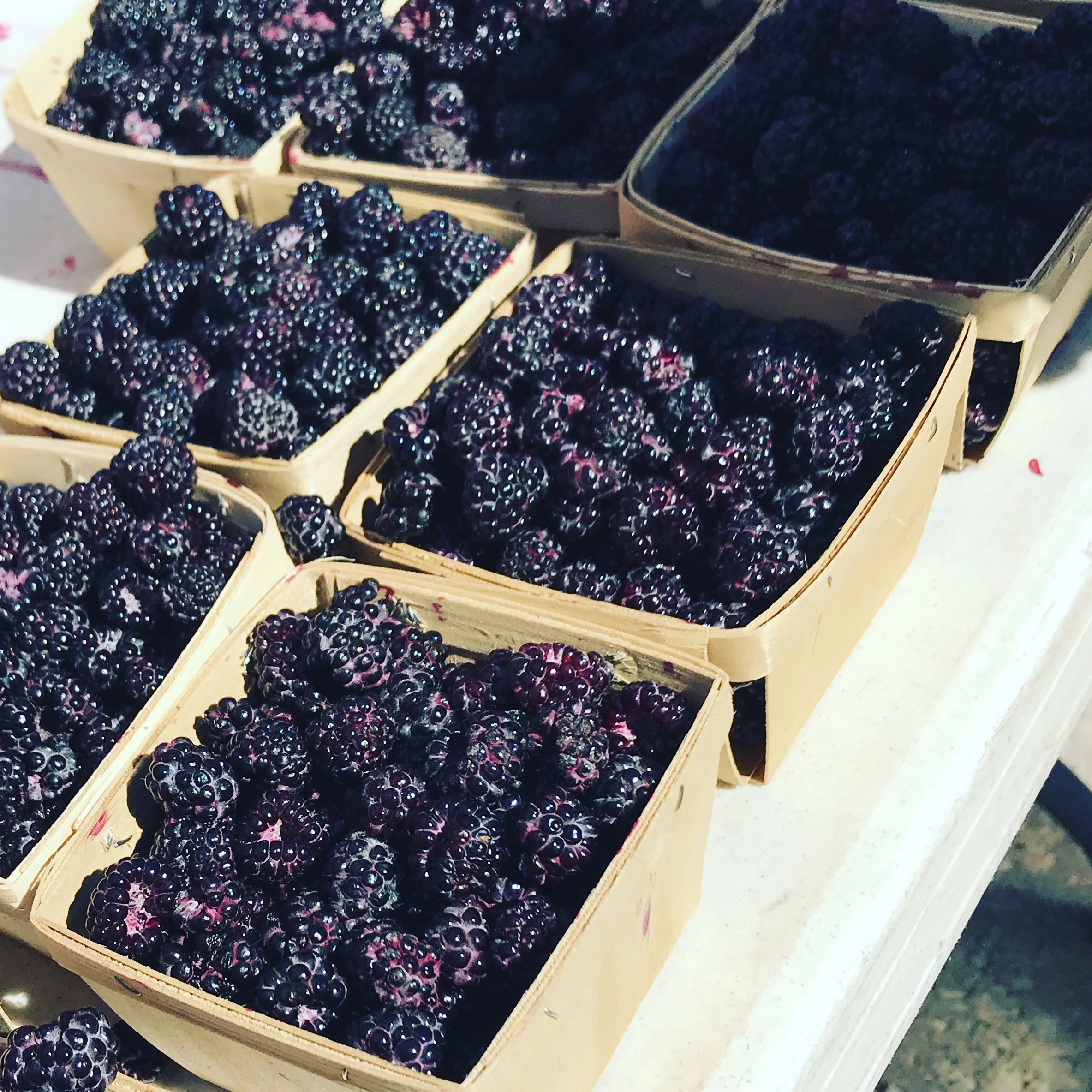 Farmers market finds