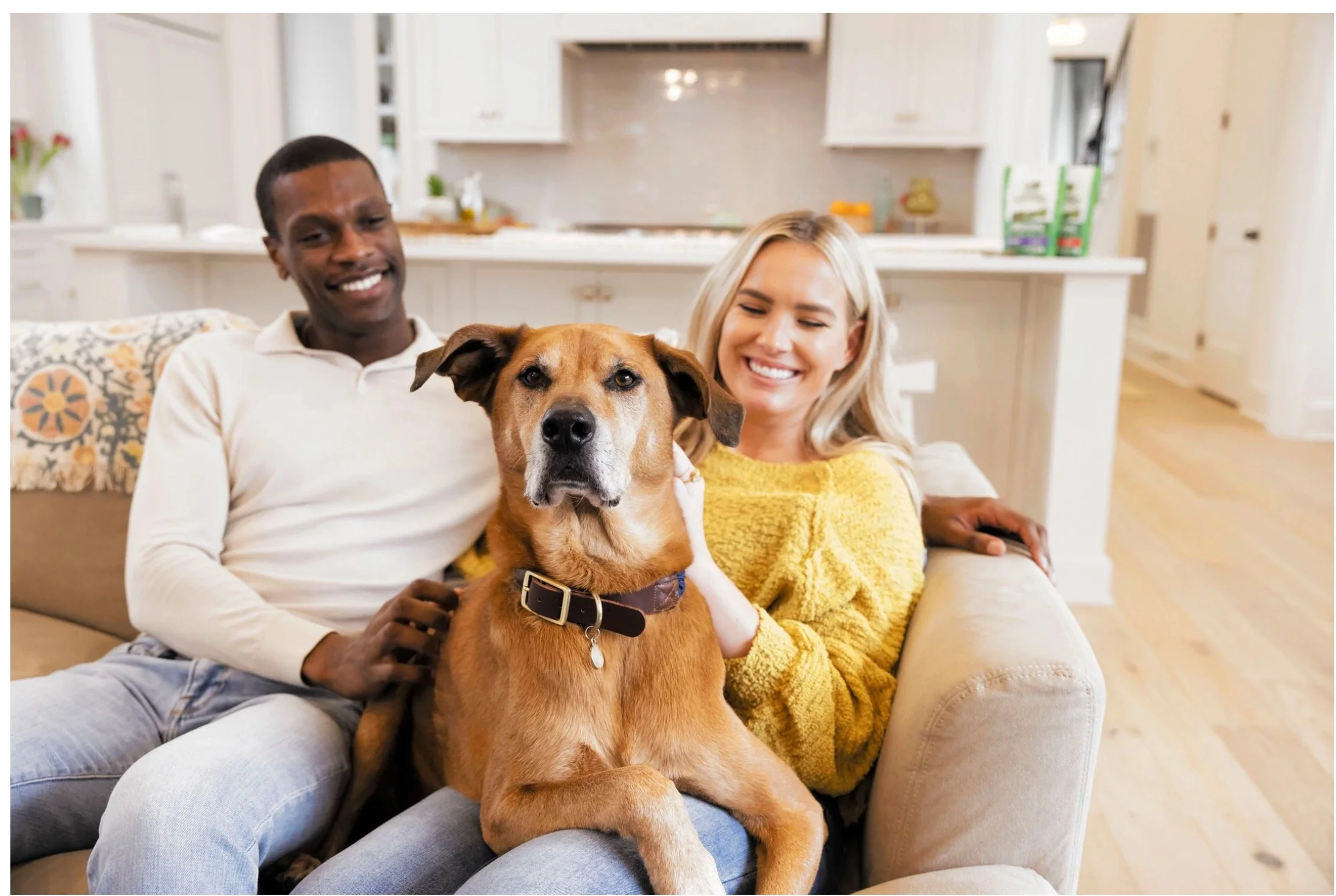 Screen Shot 2022-04-26 at 12.09.03 PM.jpeg