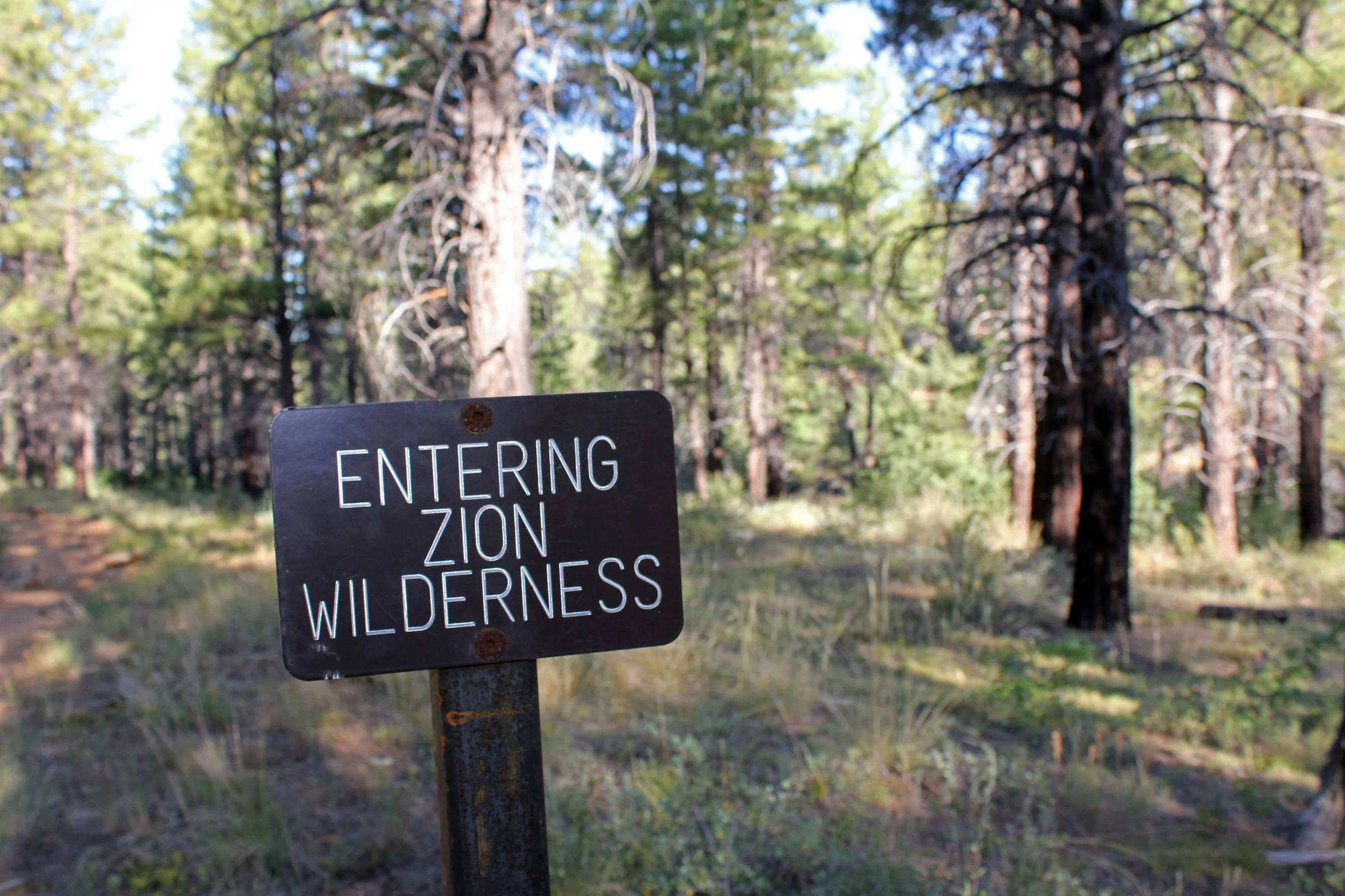 Zion Wilderness Trail head.JPG