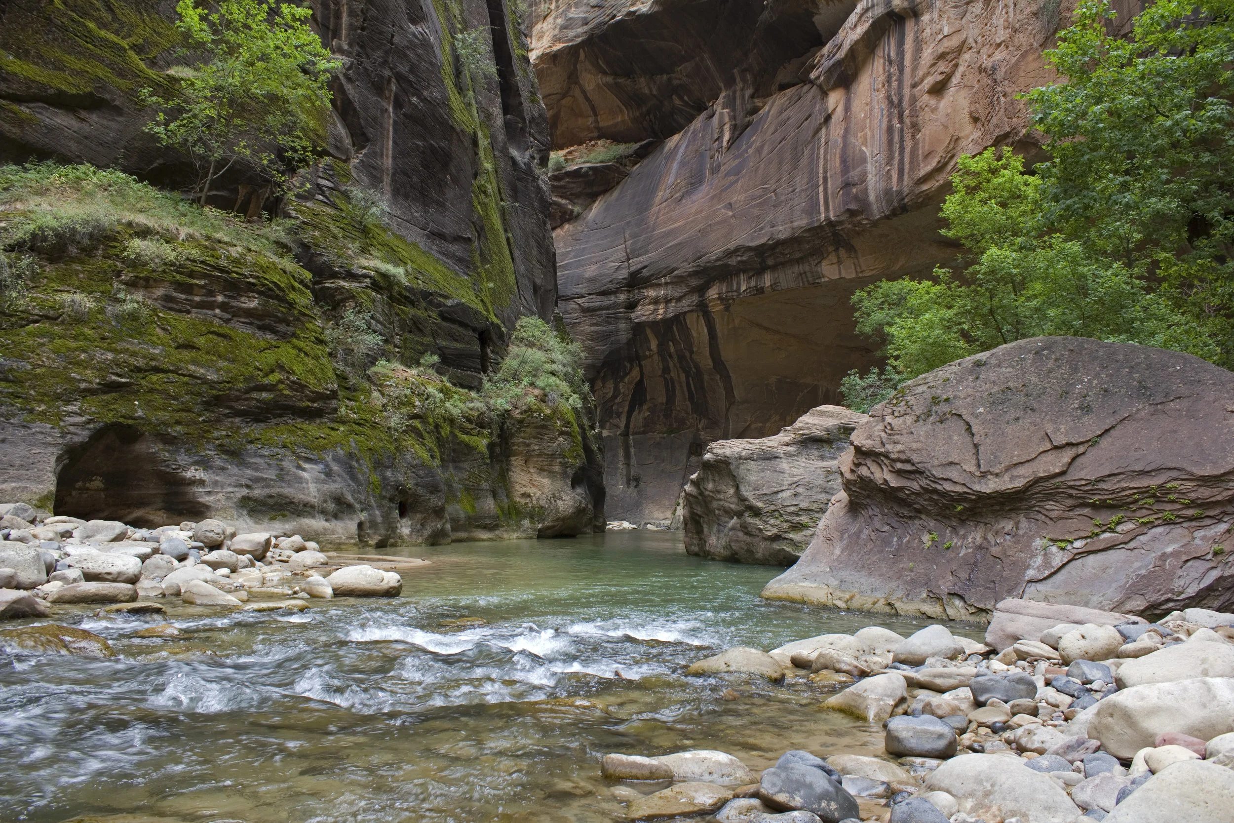 Zion July 2012 (29).jpg