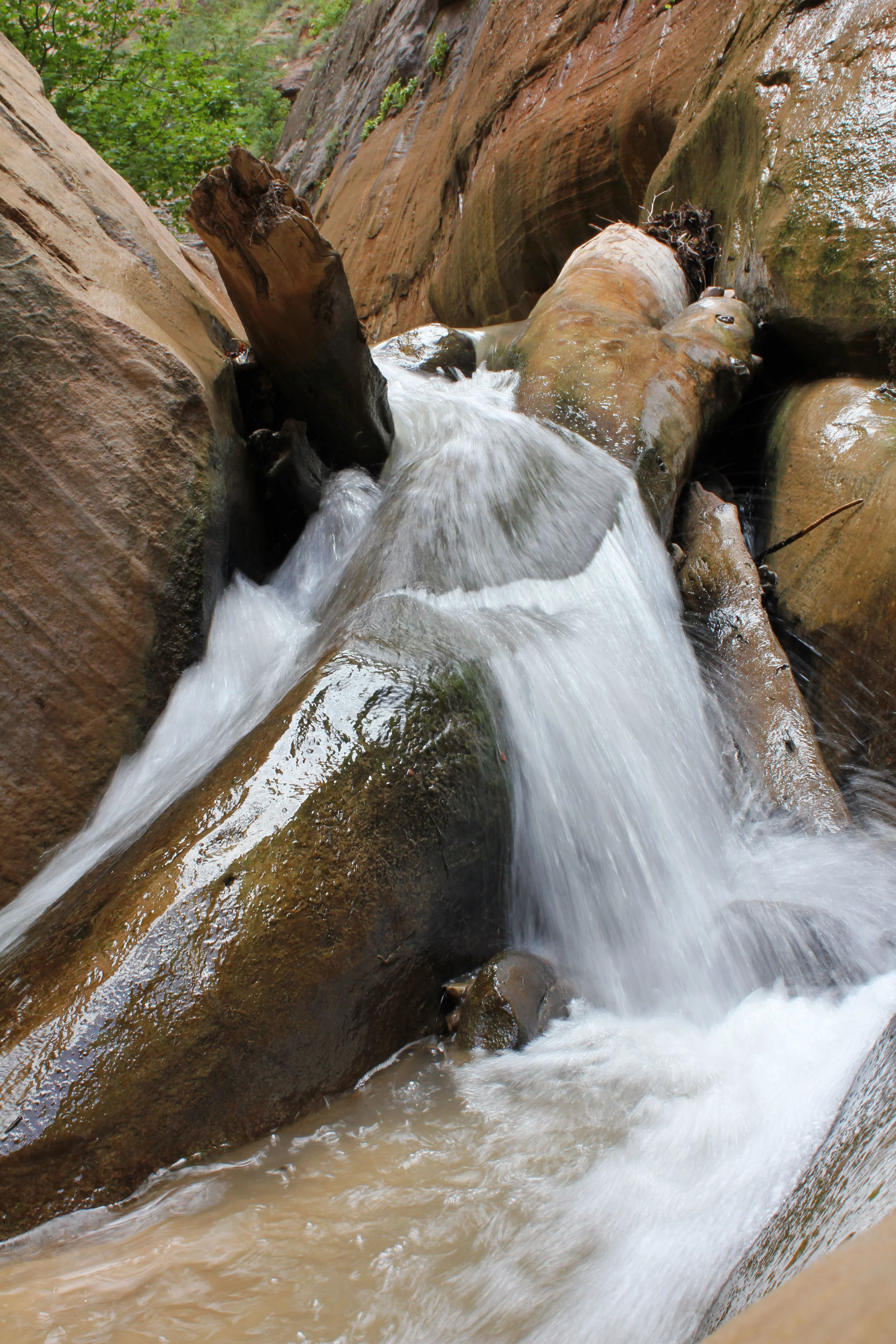Zion Narrows Sep12 (89).JPG