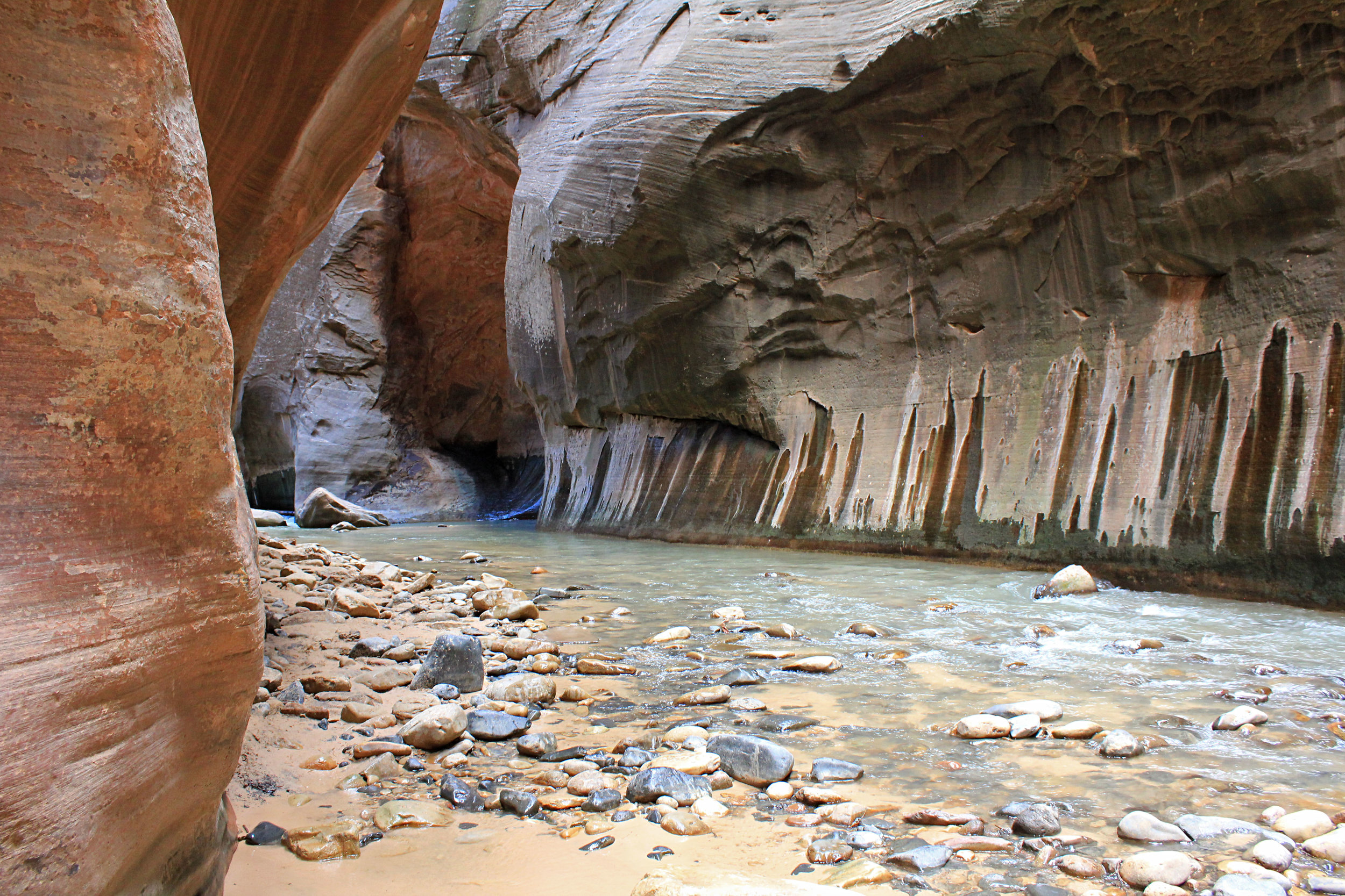 Zion Narrows Sep12.JPG