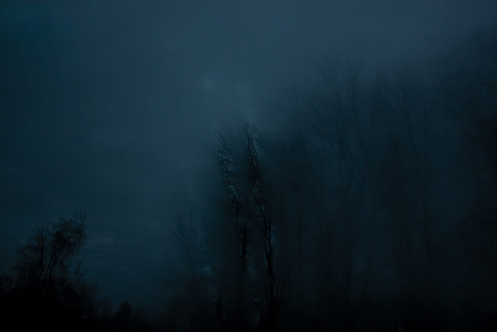 night-forest-2.jpg