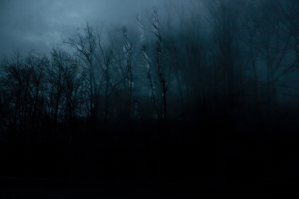 night-forest-6.jpg